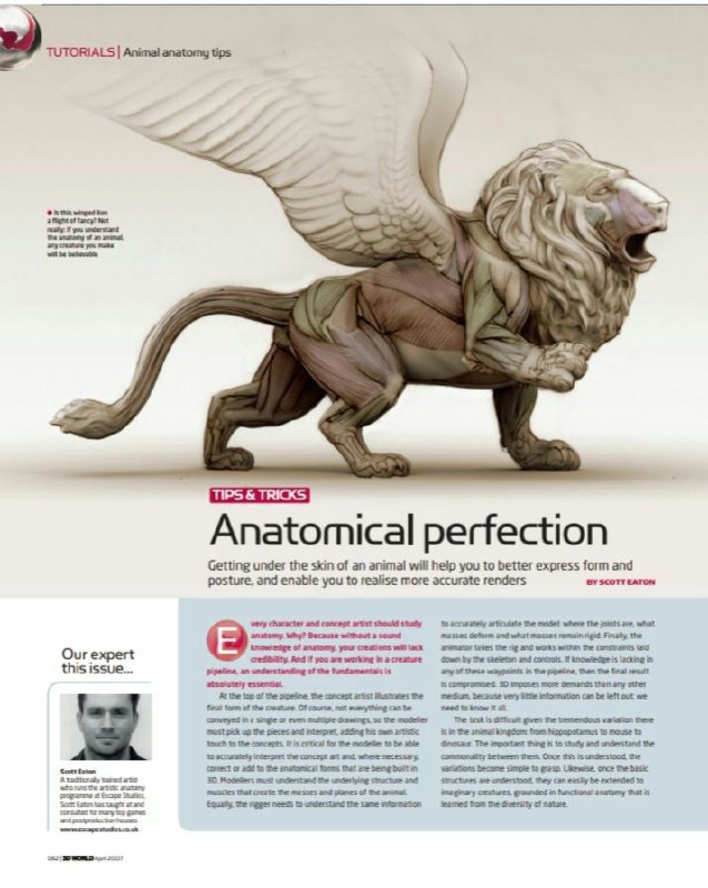 Portada ampliada de Anatomical perfection