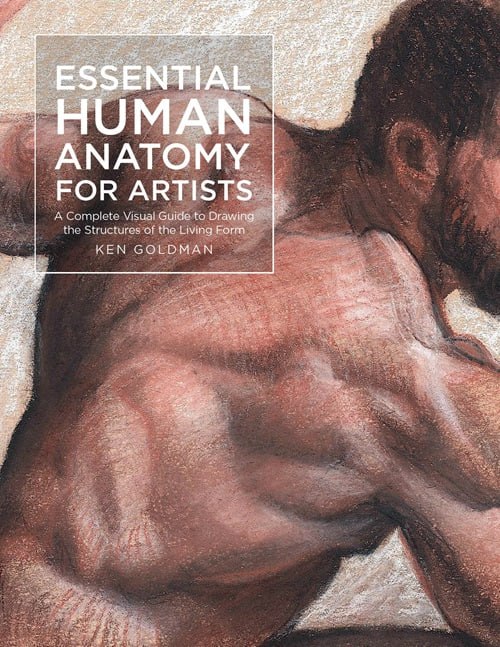 Portada ampliada de ESSENTIAL HUMAN ANATOMY FOR ARTISTS