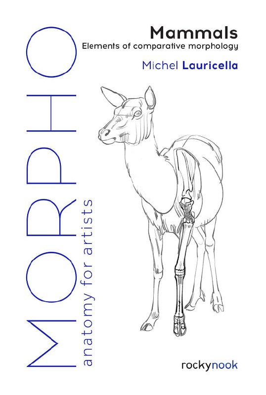 Portada ampliada de Mammals Elements of comparative morphology