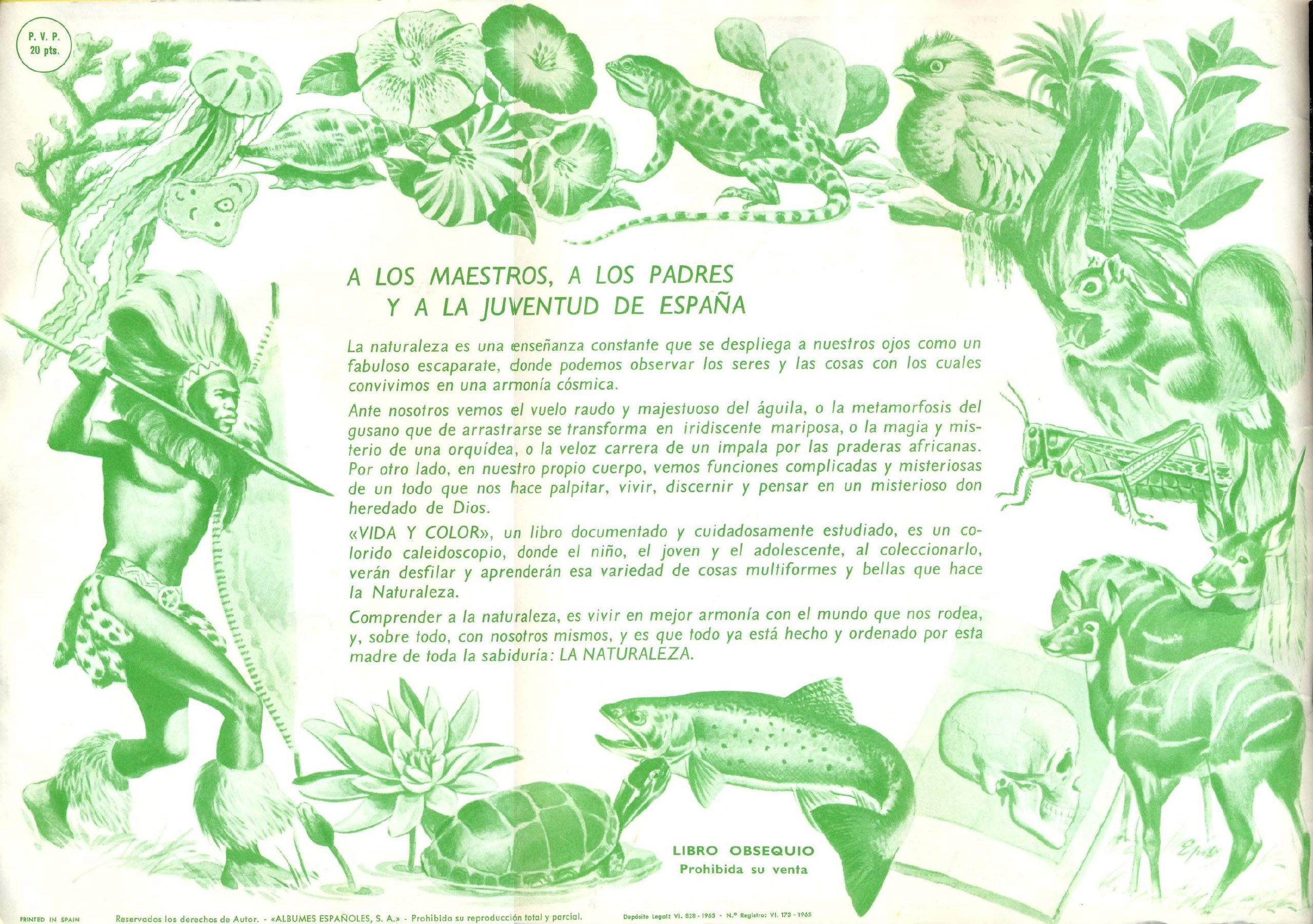 Portada ampliada de Vida y Color