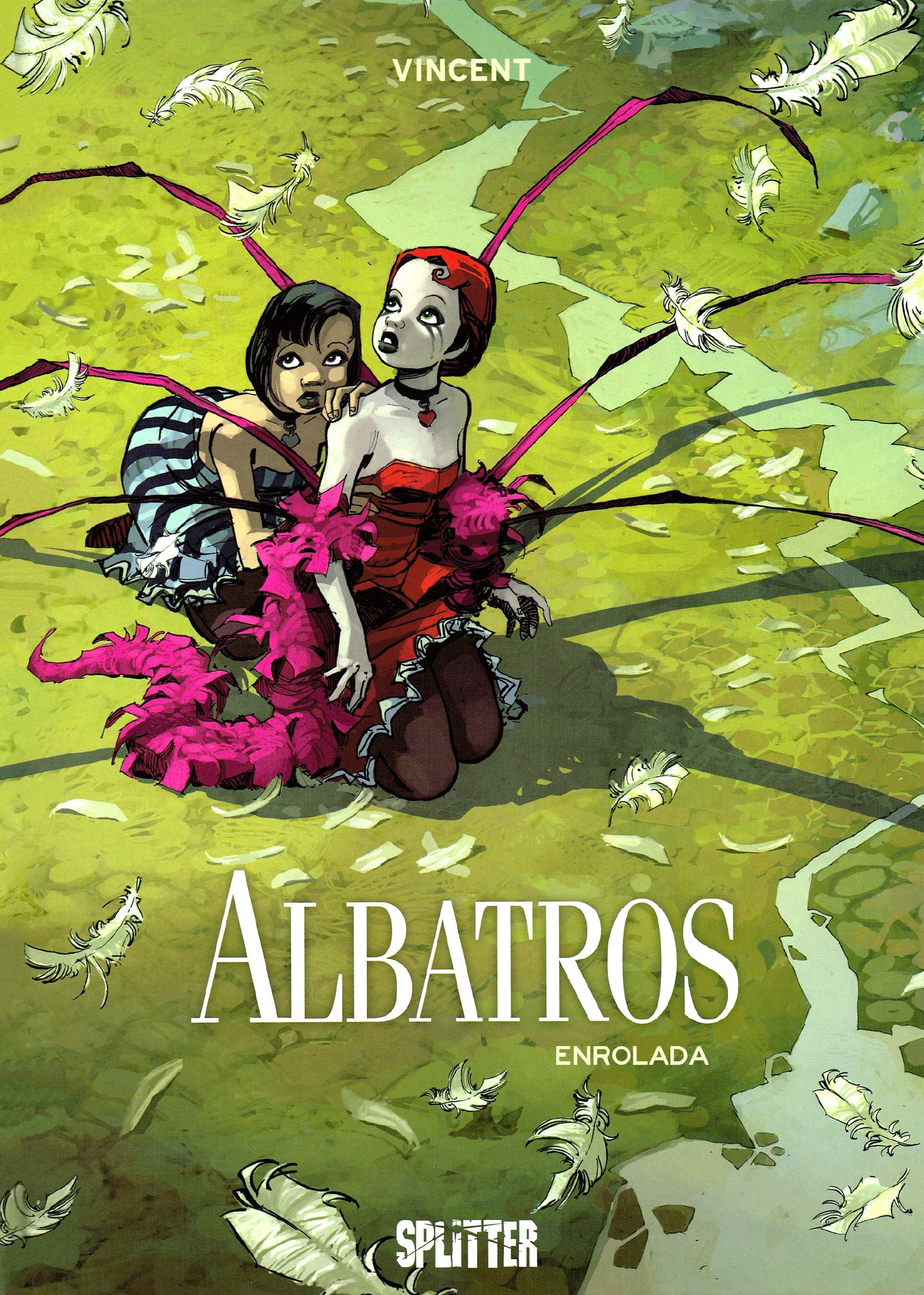 Portada ampliada de Albatros Enrolada