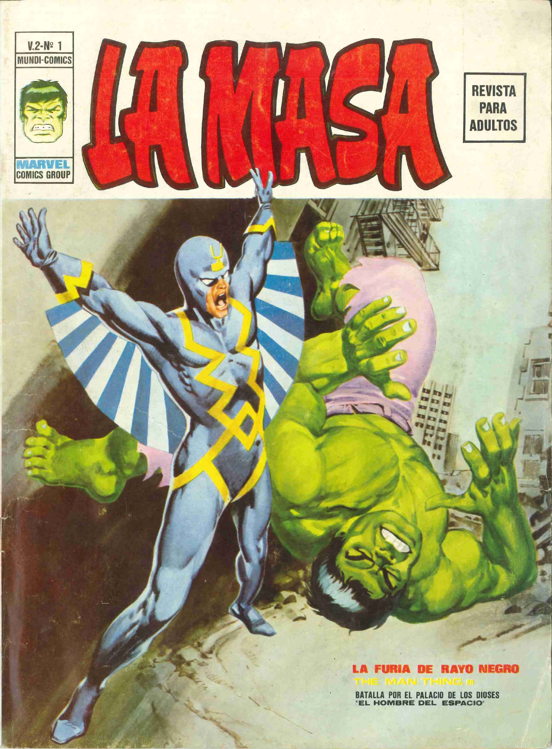 Portada ampliada de LA MASA