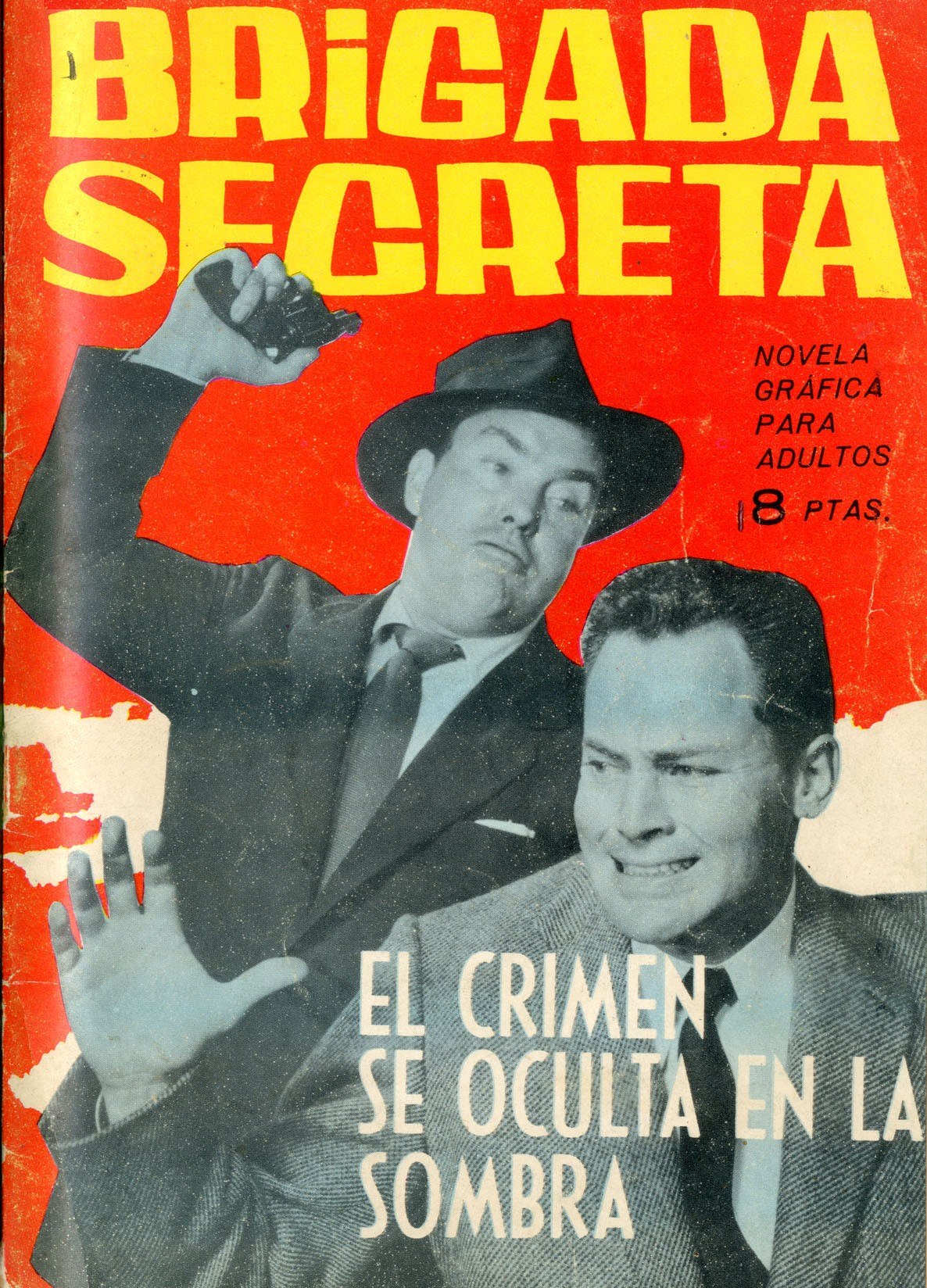 Portada ampliada de BRiGADA SECRETA