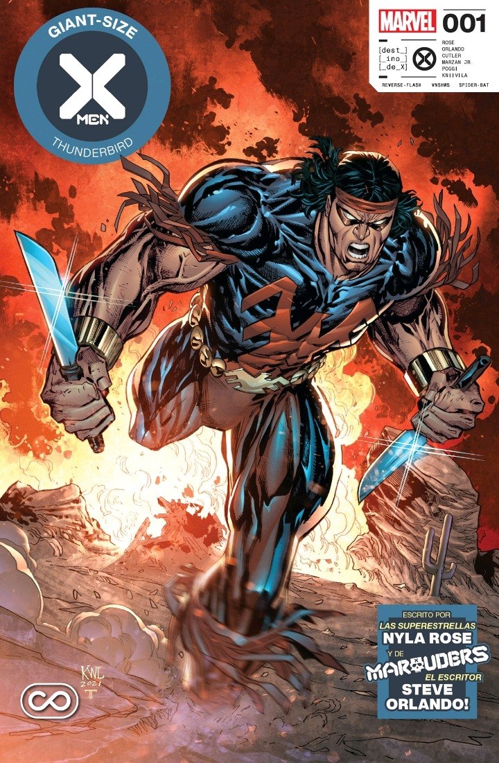 Portada ampliada de Black Panther - Intergalactic #2