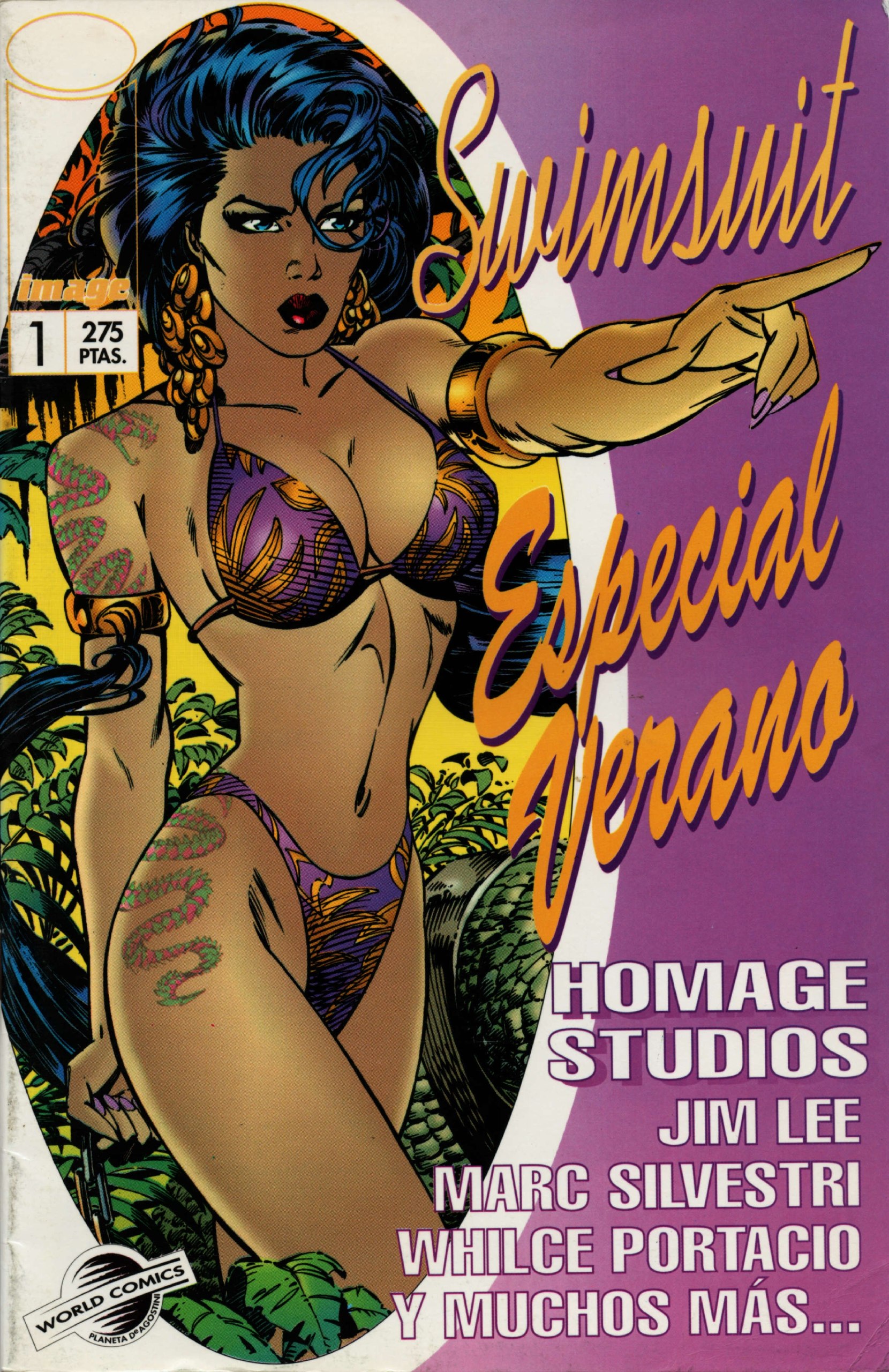 Portada ampliada de Homage Studios Swimsuit Especial Verano (Raven Co.)(CRG)