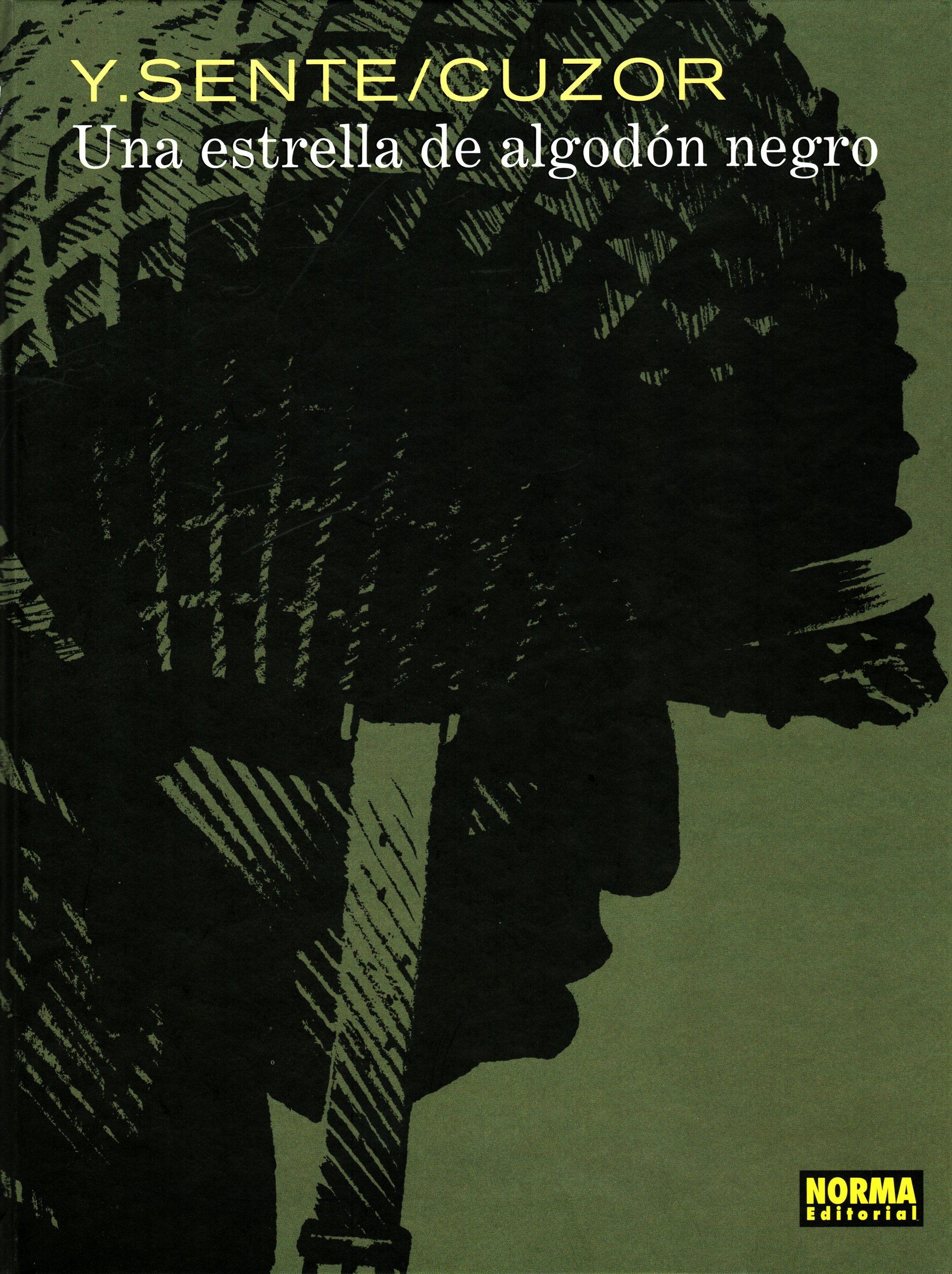 Portada ampliada de Una estrella de algodón negro