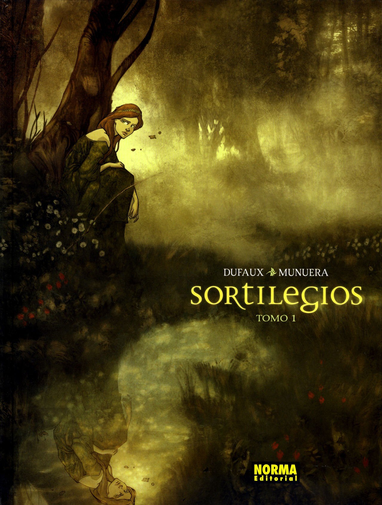 Portada ampliada de Sortilegios (de J.Dufaux y J.Munuera)(Ed.Norma)(2013-16)