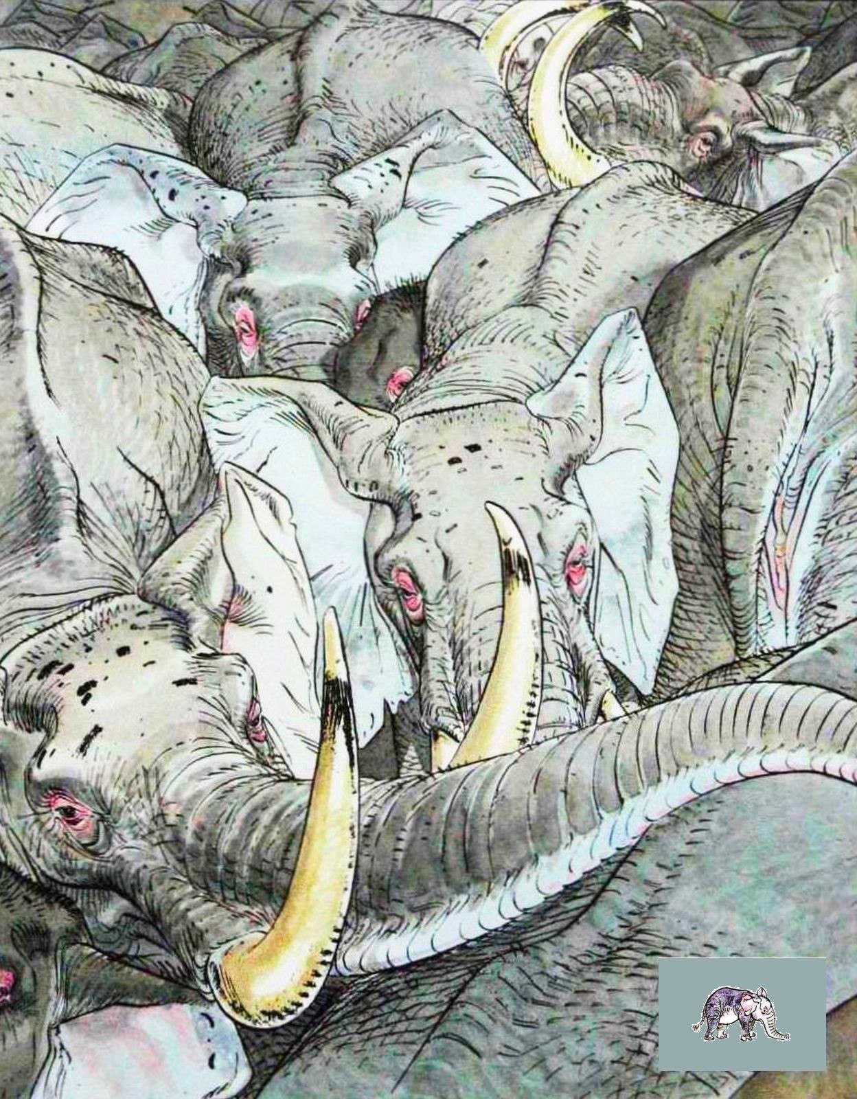 Portada ampliada de La ridicula efervescencia de las pastillas - Francois Boucq