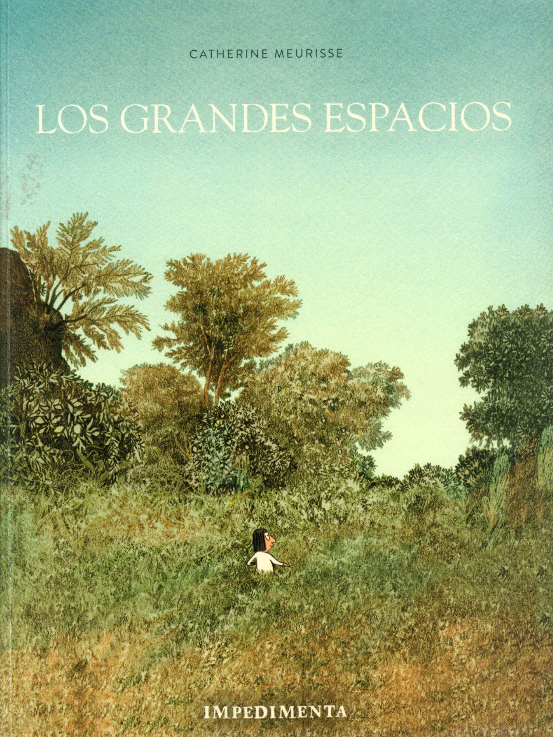 Portada ampliada de LOS GRANDES ESPACIOS