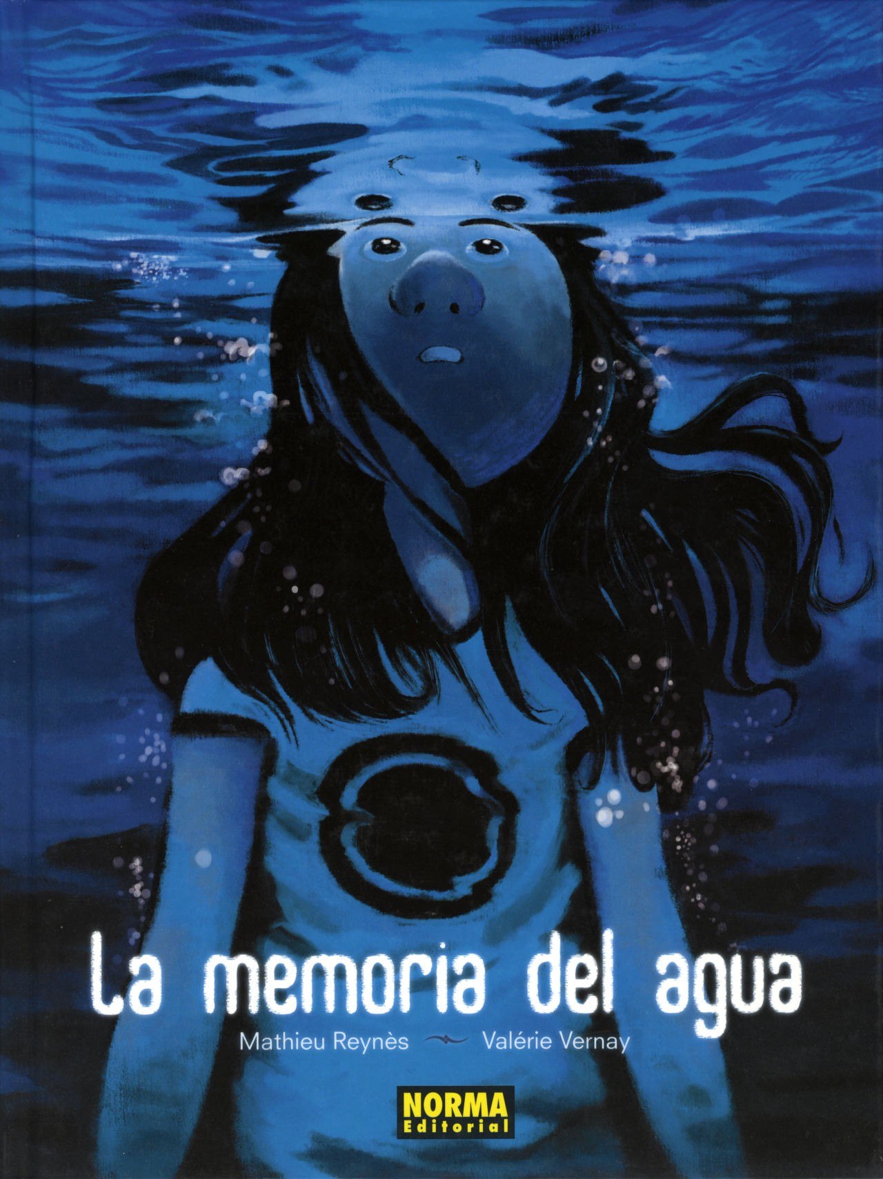 Portada ampliada de La memoria del agua