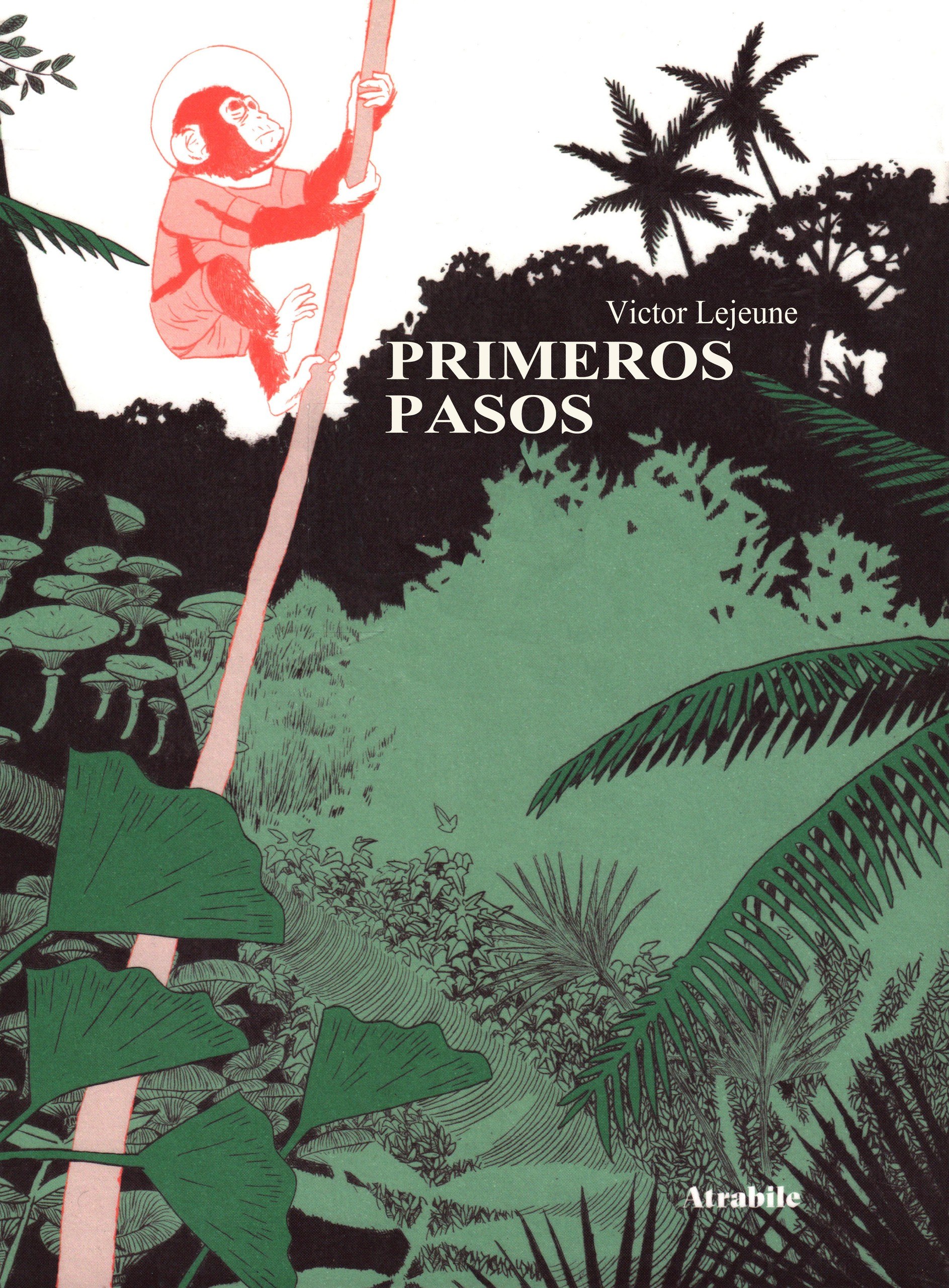 Portada ampliada de PRIMEROS PASOS