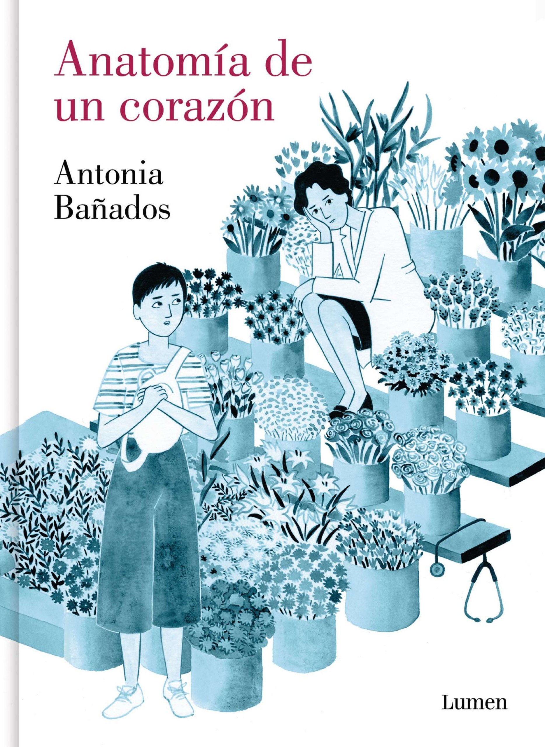 Portada ampliada de Anatomía de un corazón