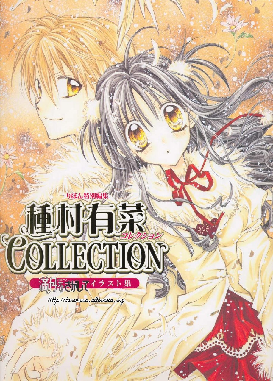 Portada ampliada de COLLECTION