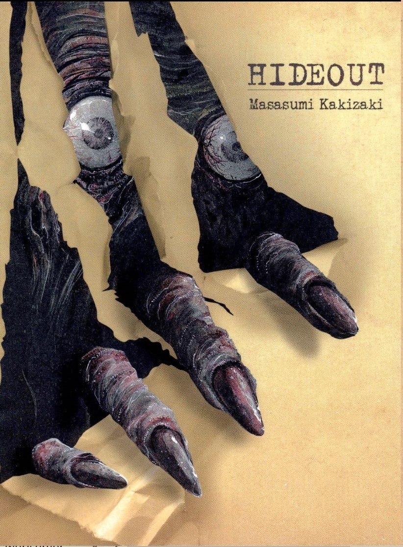Portada ampliada de HIDEOUT
