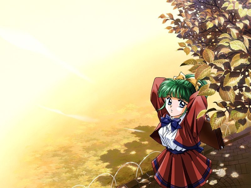 Portada ampliada de Tokimeki Memorial - Artbook.zip