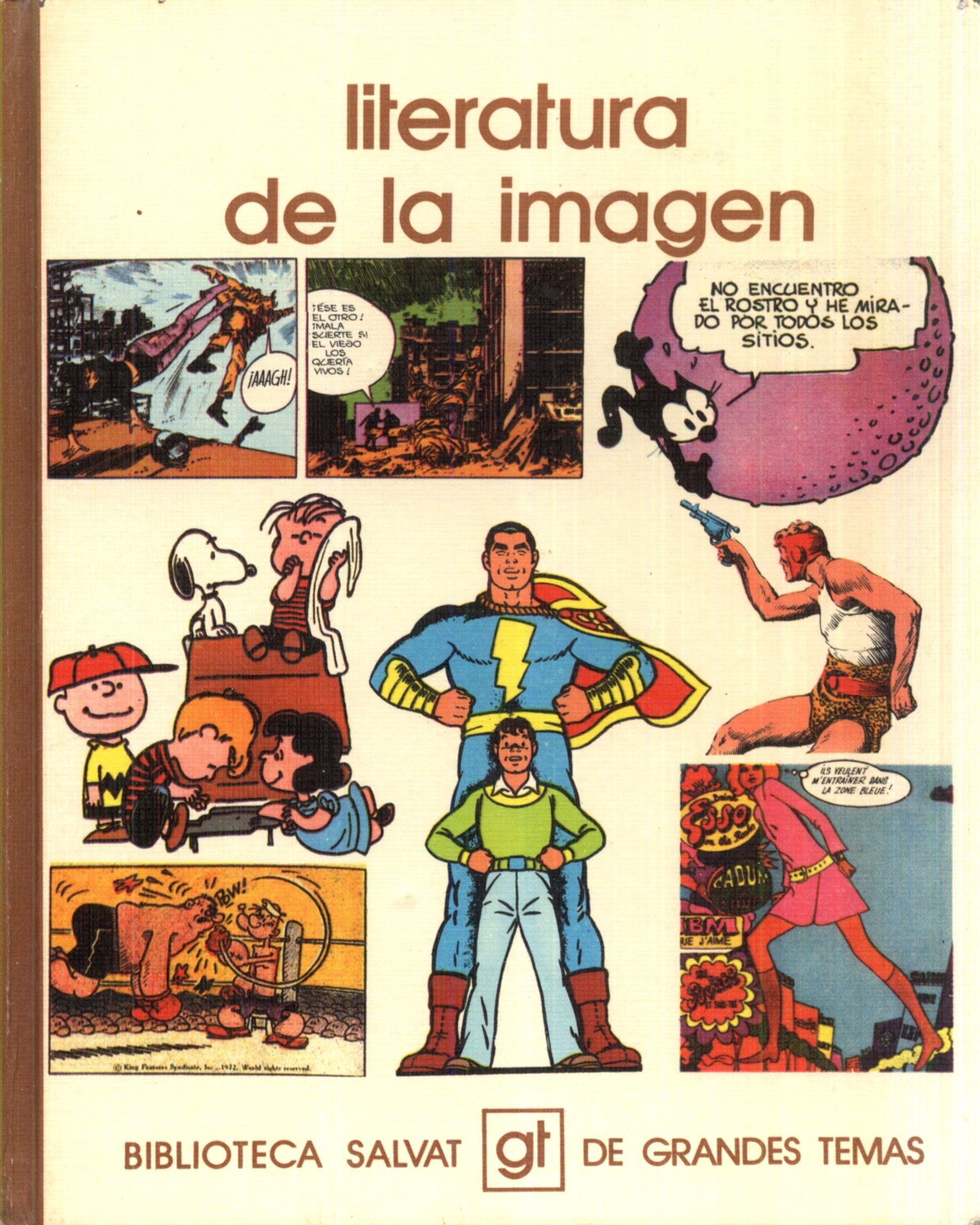 Portada ampliada de Literatura de la Imagen x Carasucia
