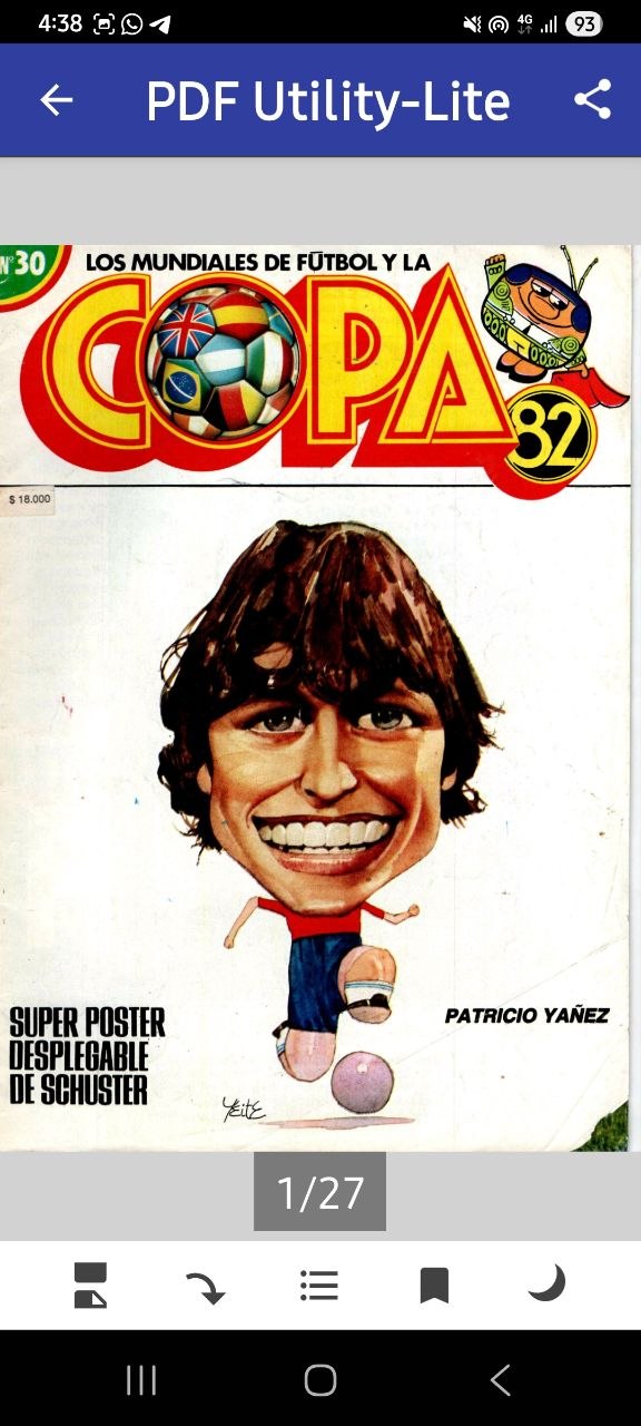 Portada ampliada de Los mundiales de fútbol y la copa