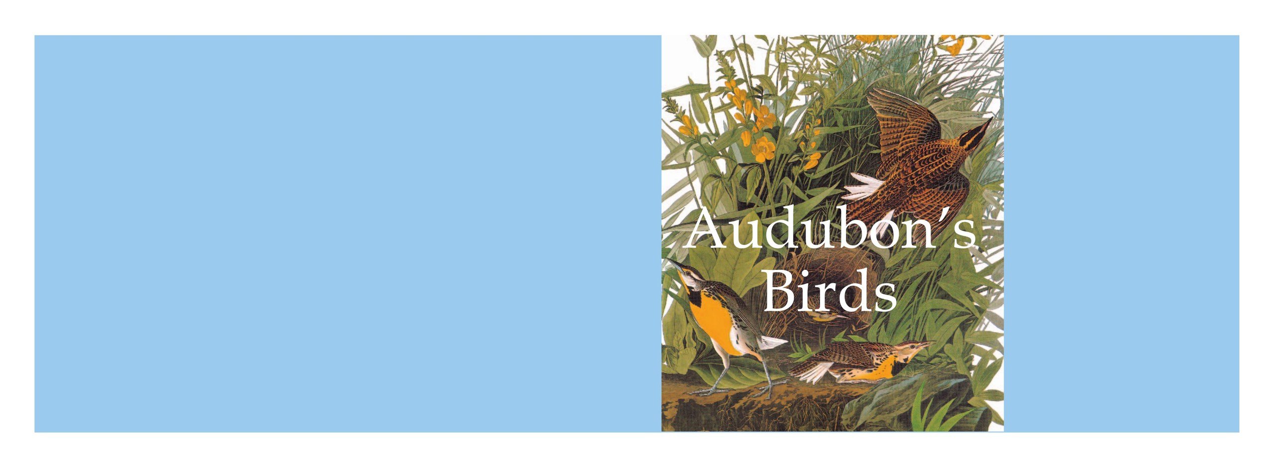 Portada ampliada de Audubon's Birds