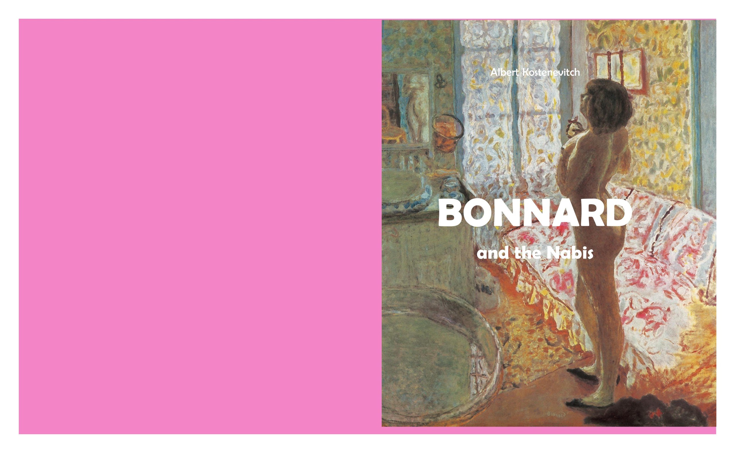 Portada ampliada de BONNARD and the Nabis