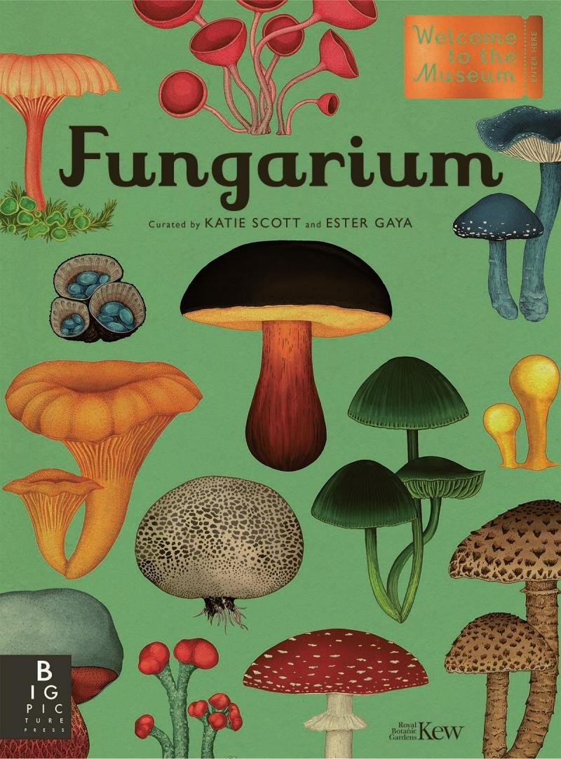 Portada ampliada de Fungarium