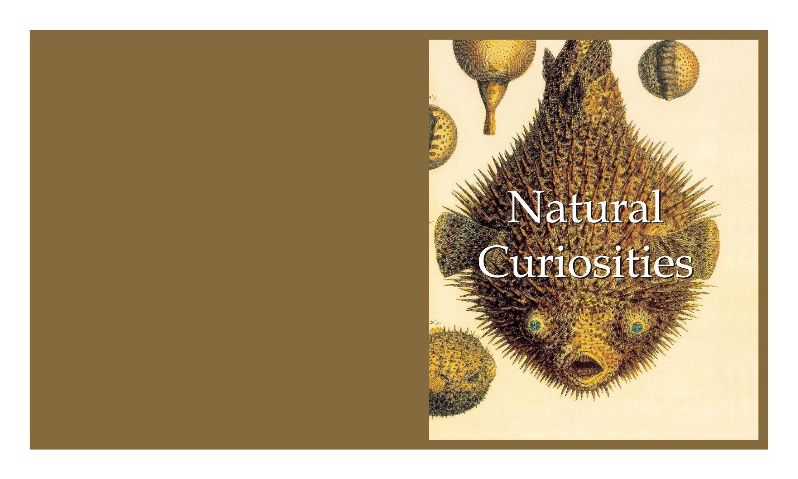 Portada ampliada de Natural Curiosities