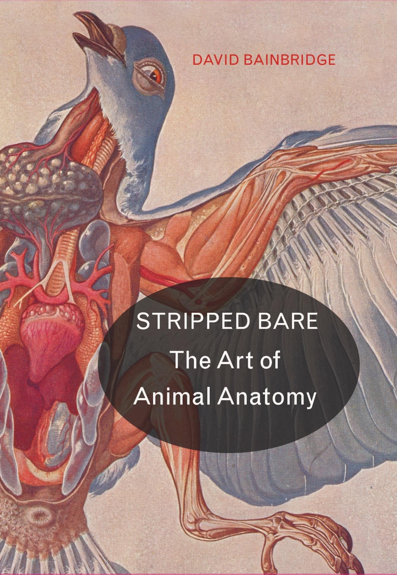Portada ampliada de STRIPPED BARE The Art of Animal Anatomy