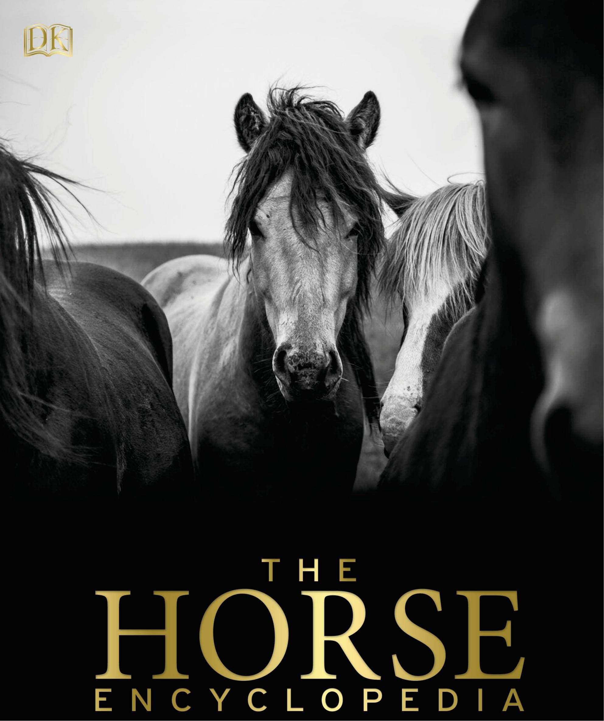 Portada ampliada de THE HORSE ENCYCLOPEDIA