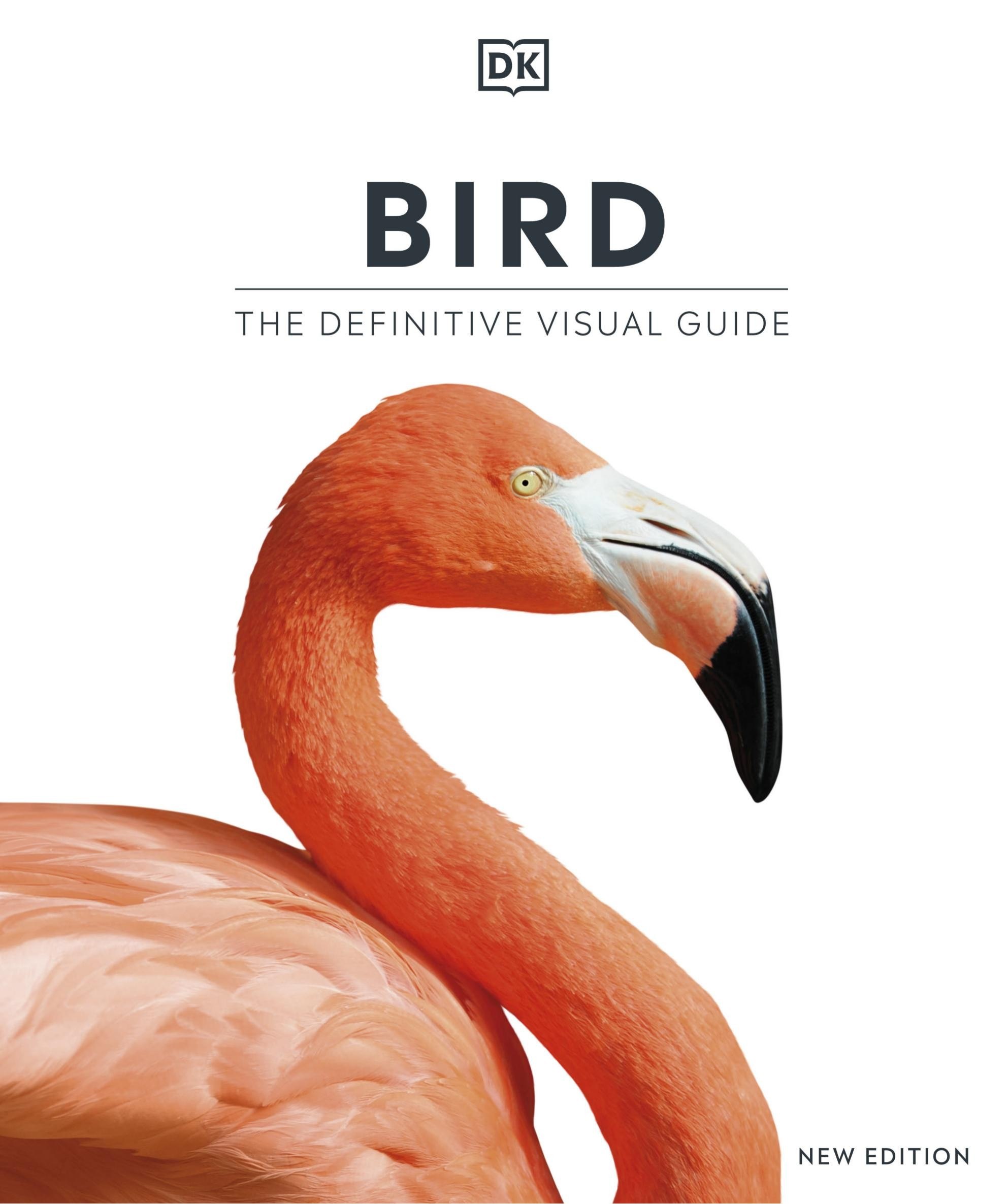 Portada ampliada de BIRD