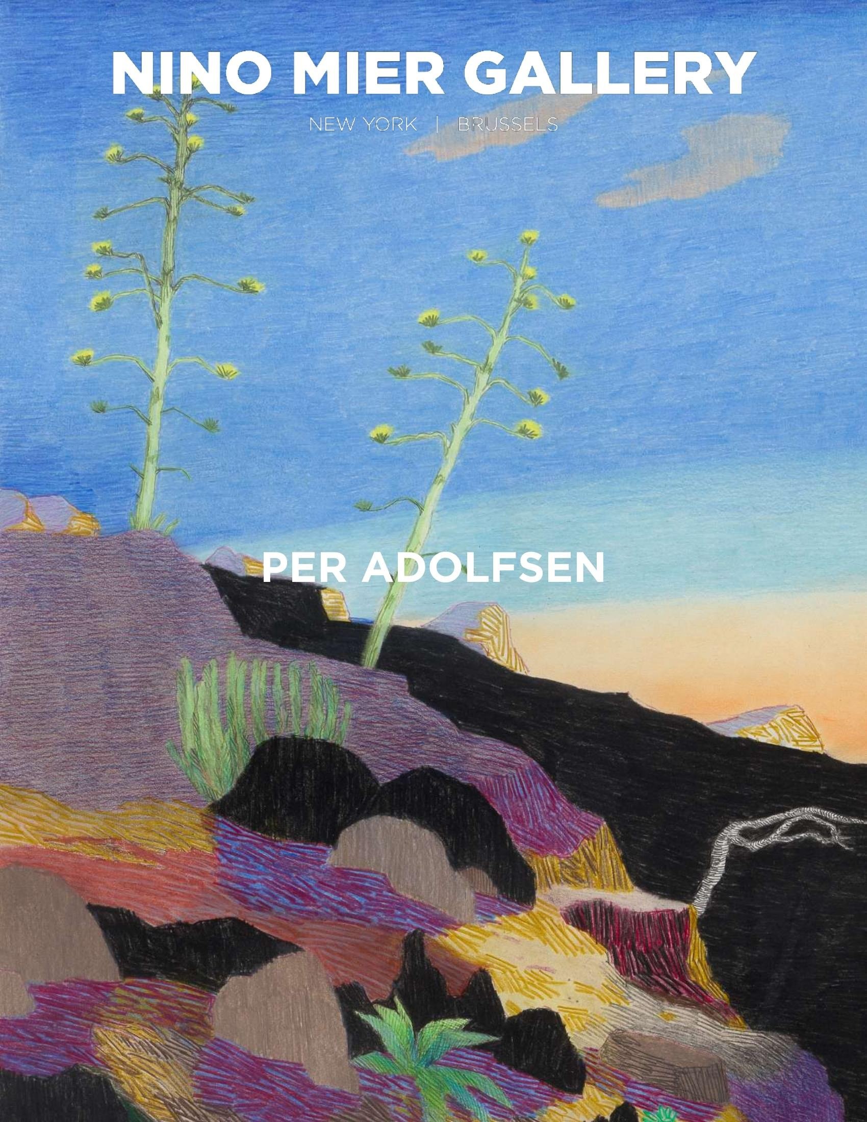Portada ampliada de PER ADOLFSEN