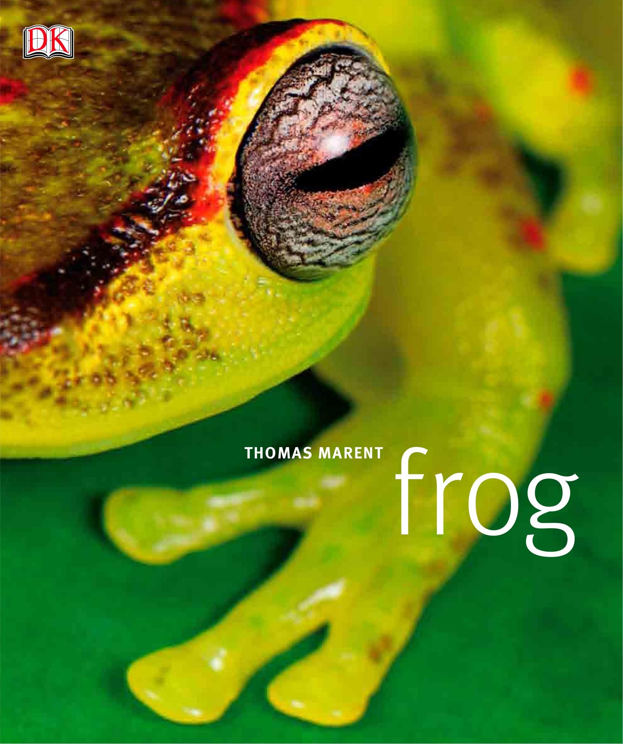 Portada ampliada de frog