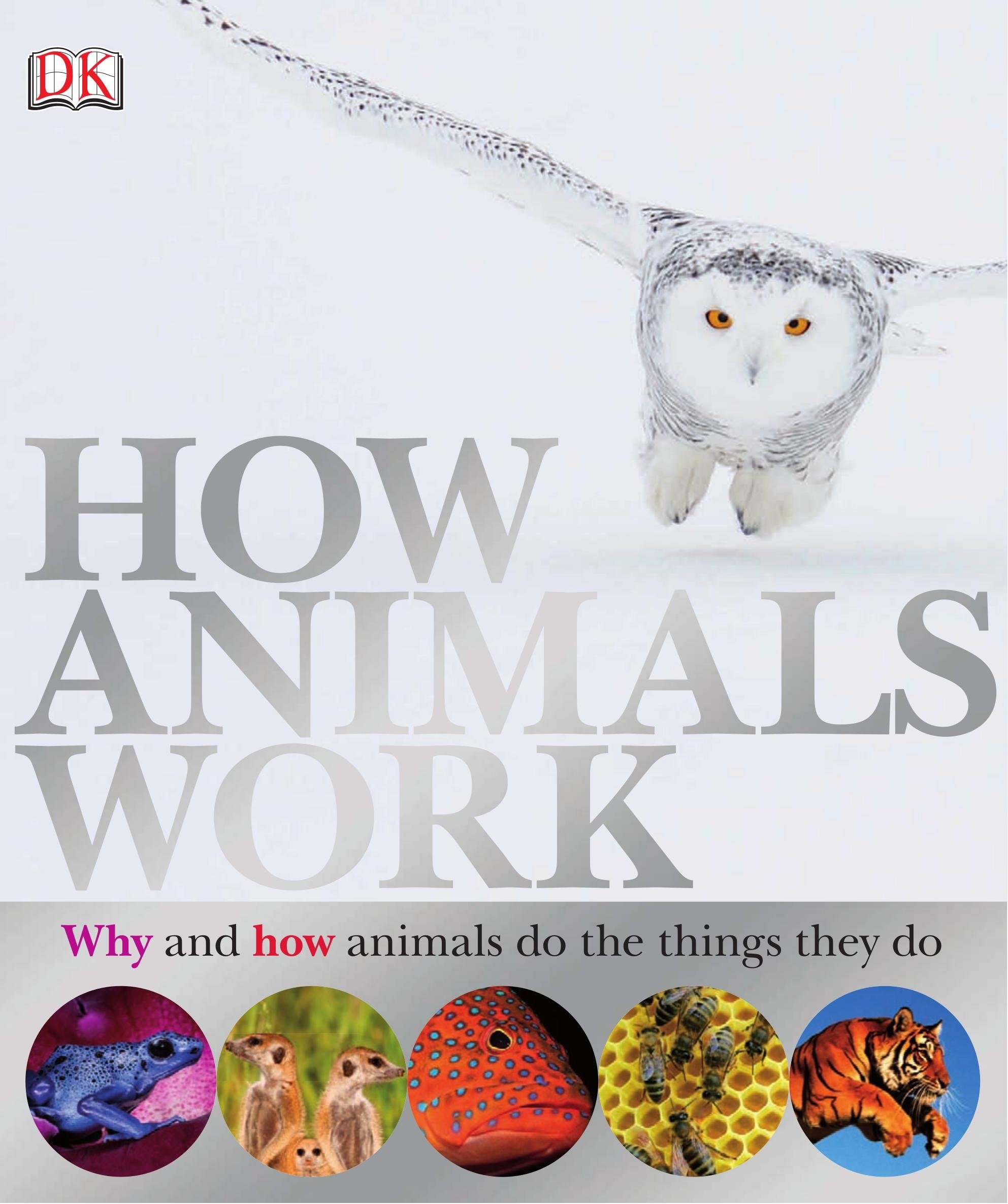 Portada ampliada de HOW ANIMALS WORK