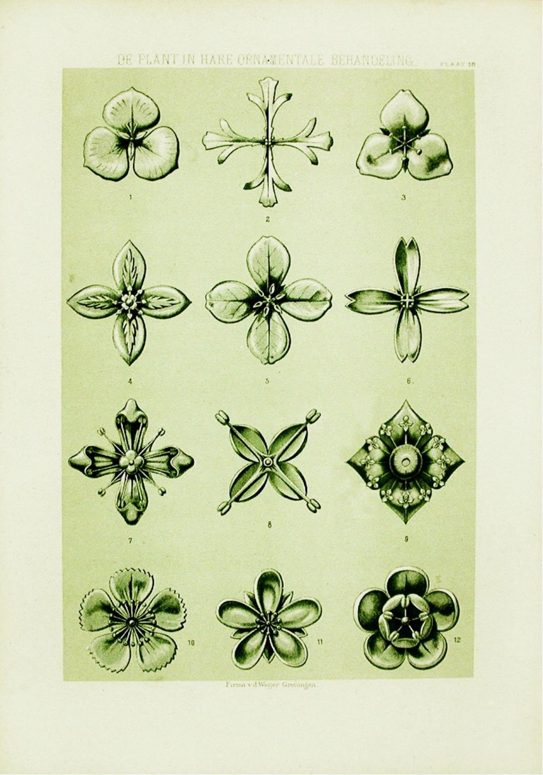 Portada ampliada de De Plante in hare Ornatmentale Behandeling