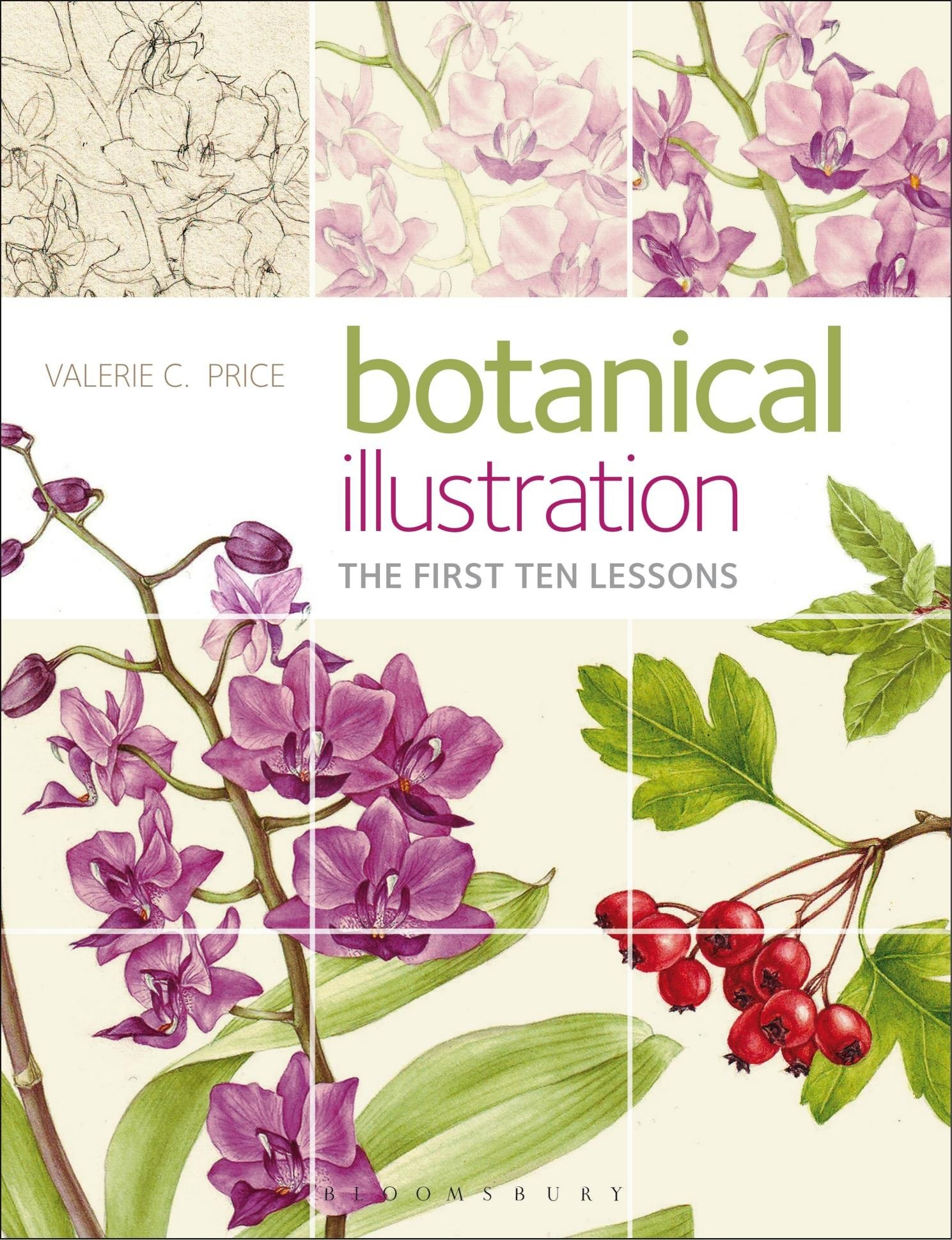 Portada ampliada de botanical illustration