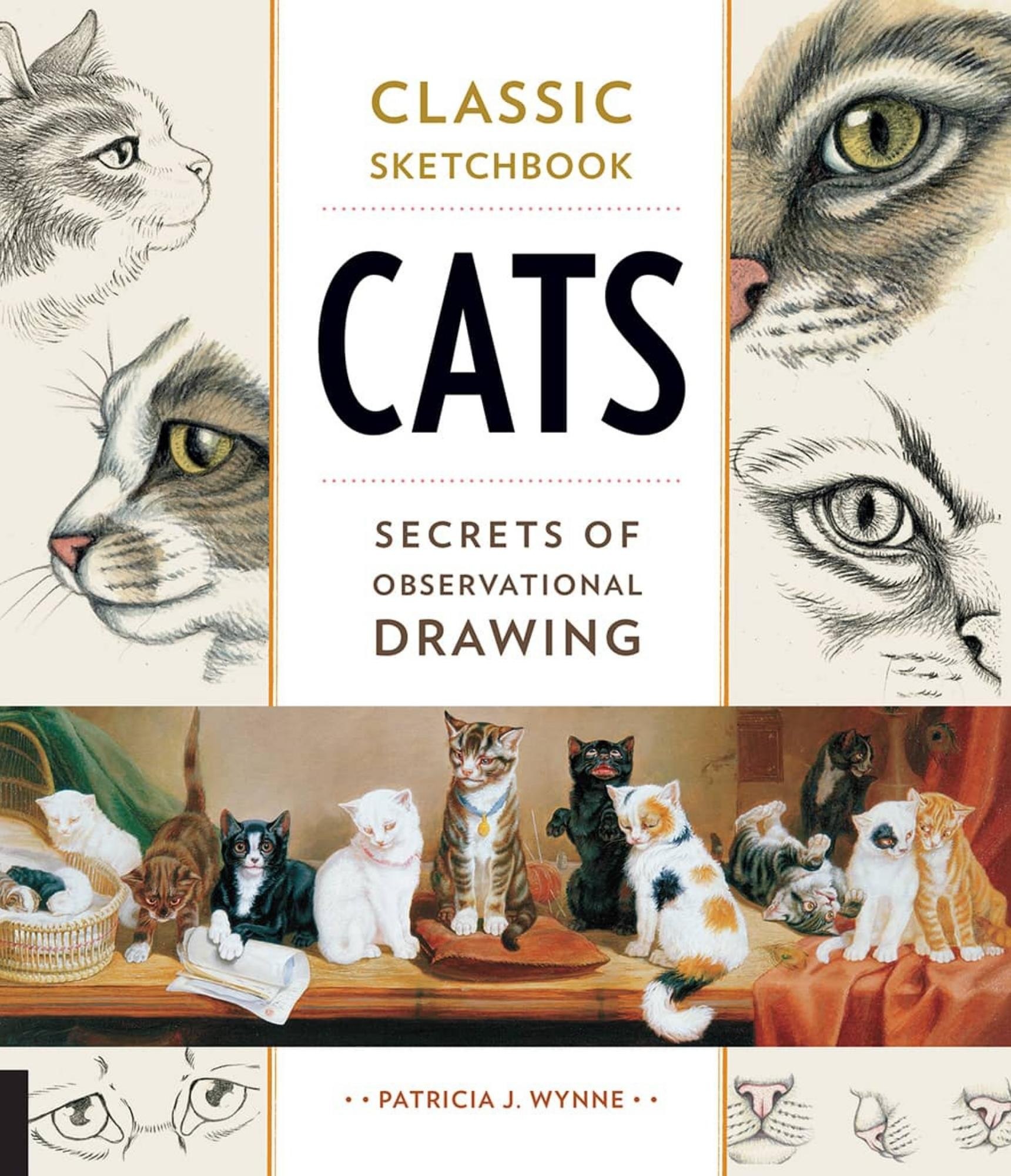 Portada ampliada de Classic Sketchbook Cats Secrets of Observational Drawing