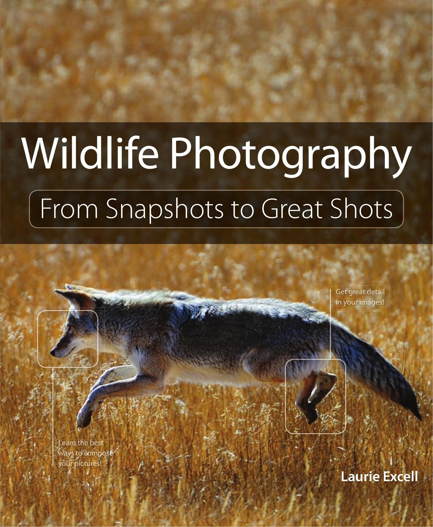 Portada ampliada de Wildlife Photography