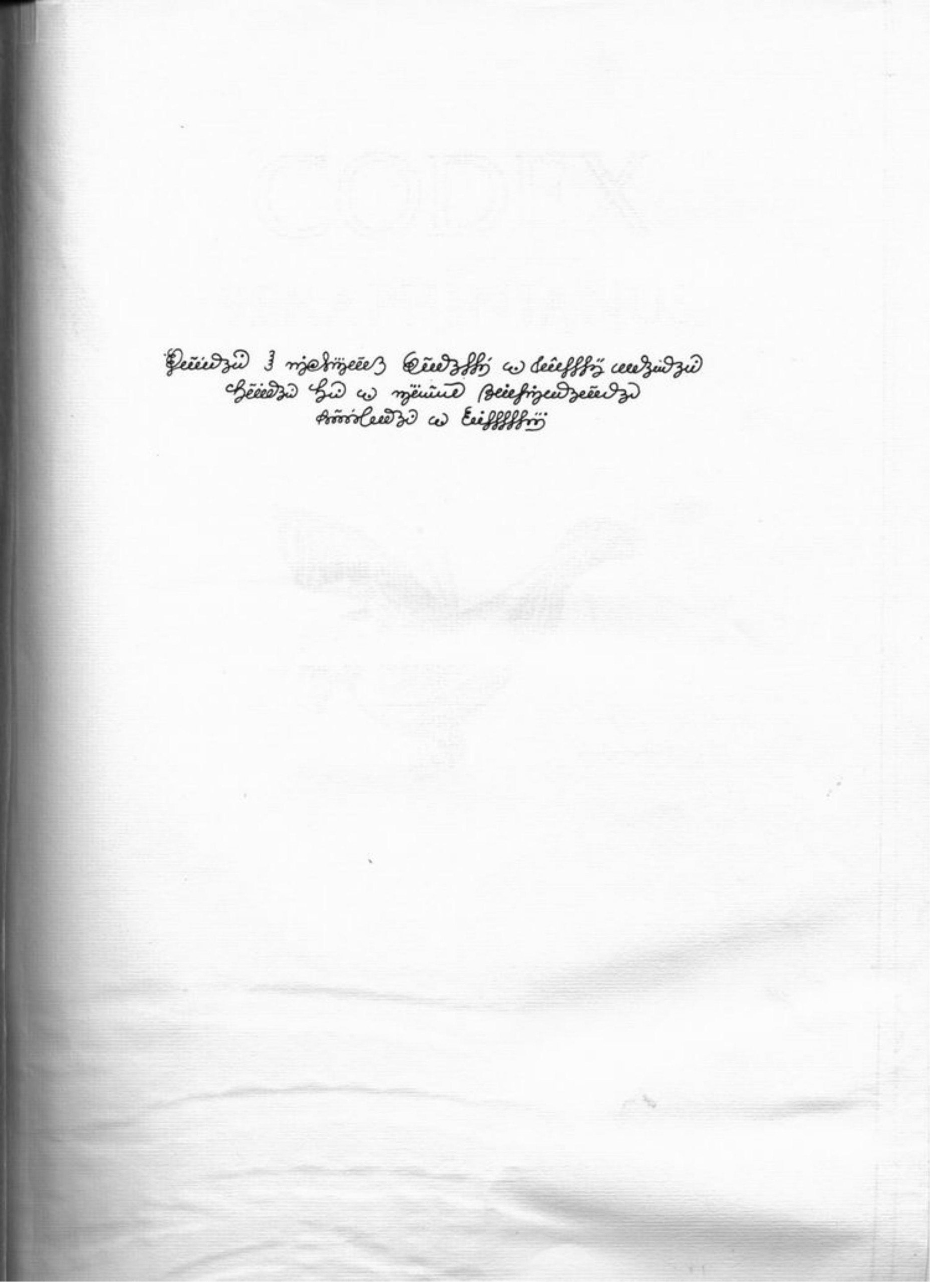 Portada ampliada de Codex Seraphinianus