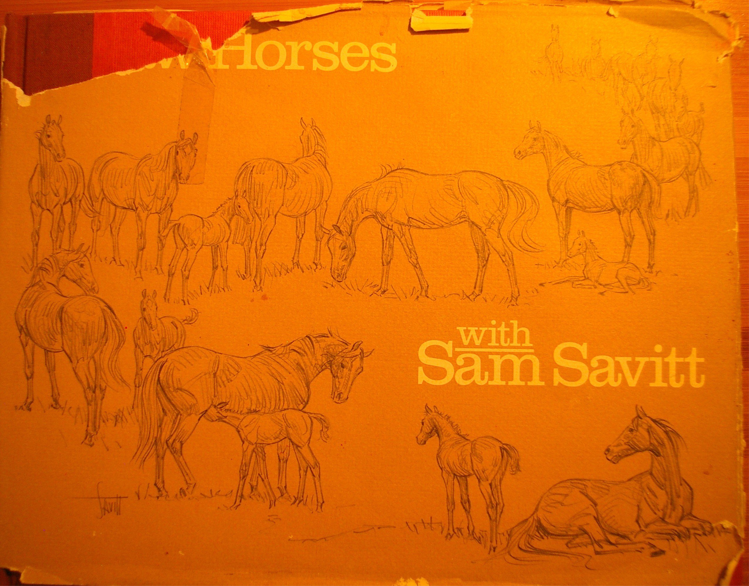 Portada ampliada de Horses