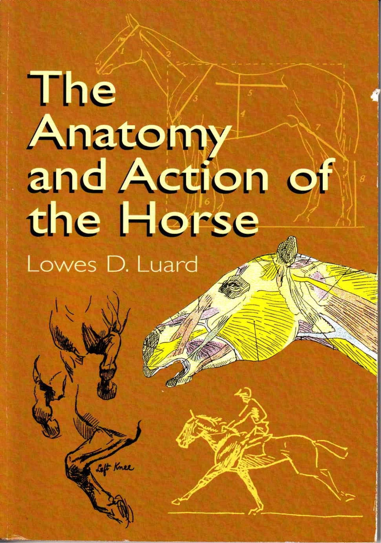 Portada ampliada de The Anatomy and Action of the Horse