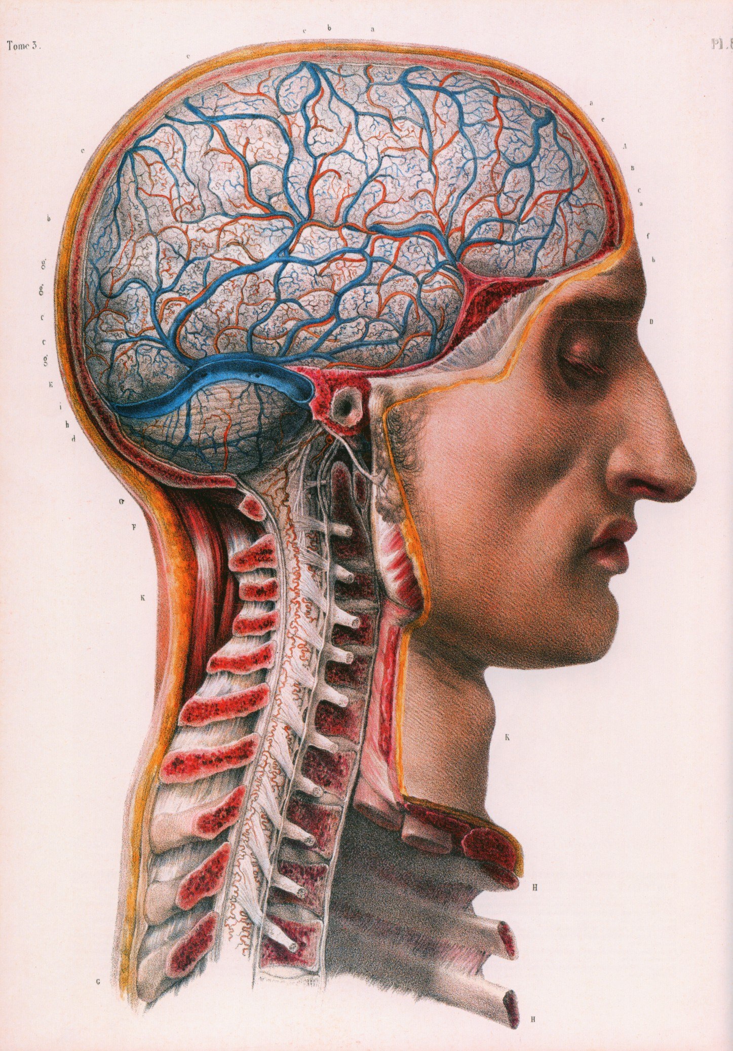 Portada ampliada de AtlasofHumanAnatomyandSurgeryVolume3T.meArtFacultas