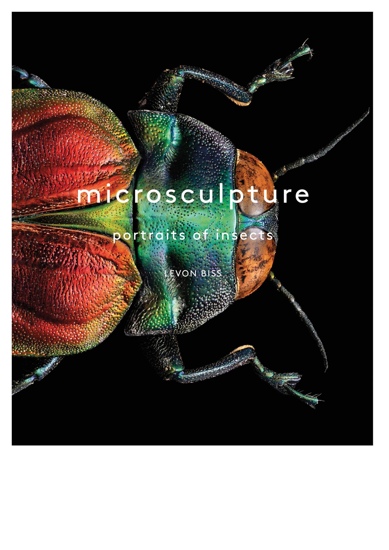 Portada ampliada de microsculpture