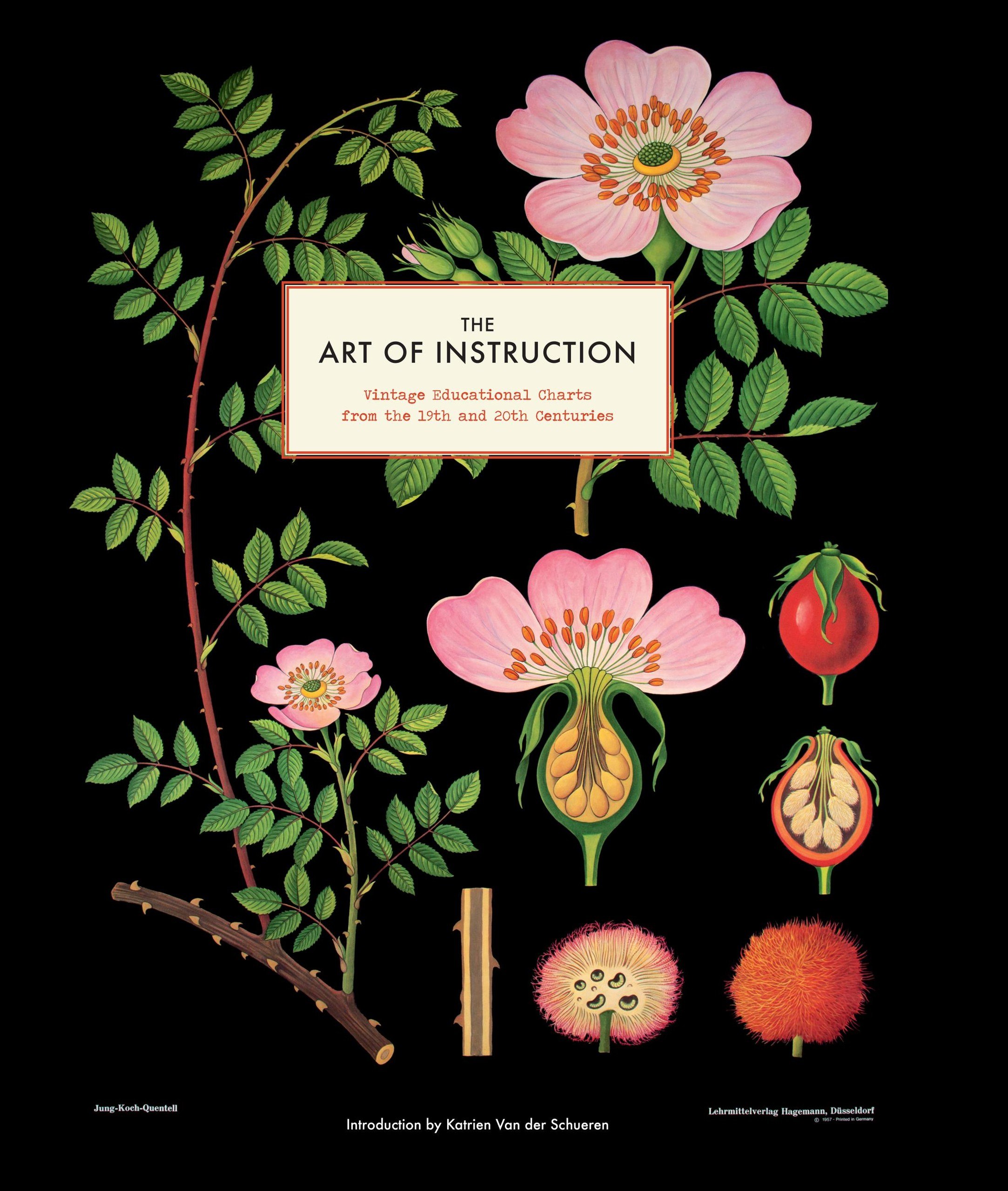 Portada ampliada de THE ART OF INSTRUCTION