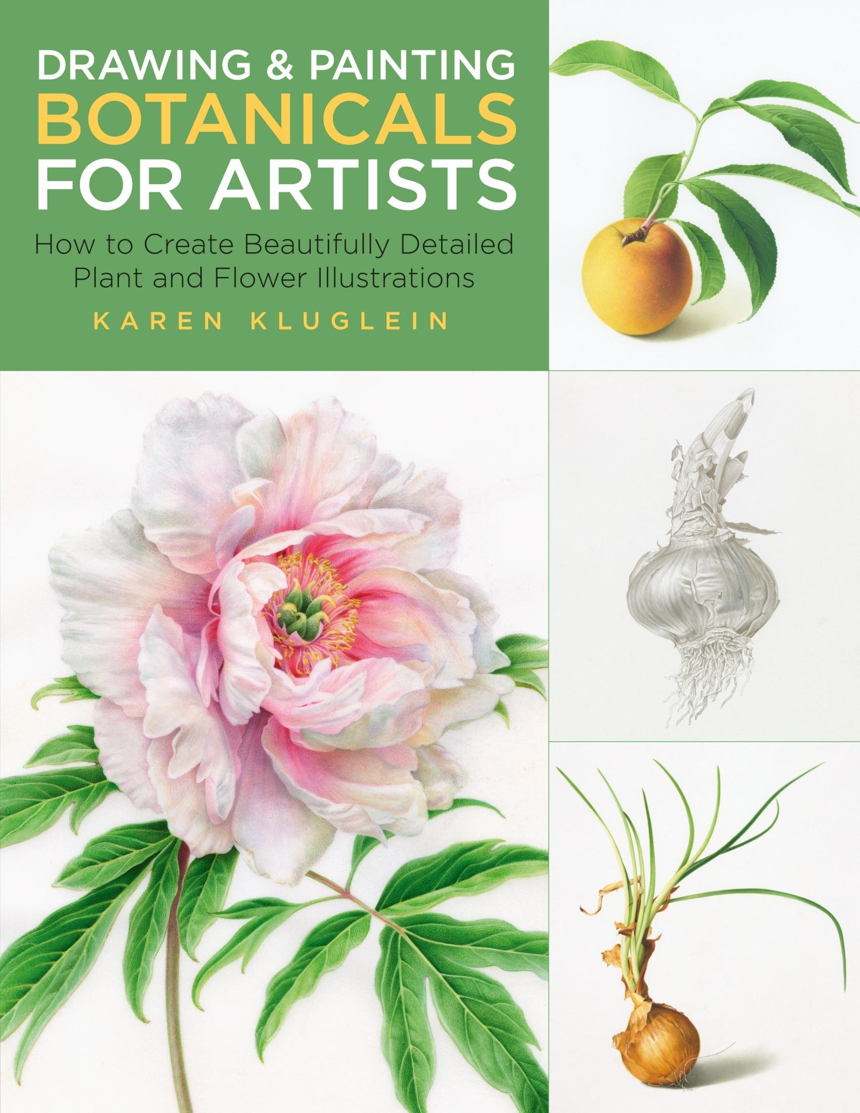 Portada ampliada de DRAWING & PAINTING BOTANICALS FOR ARTISTS