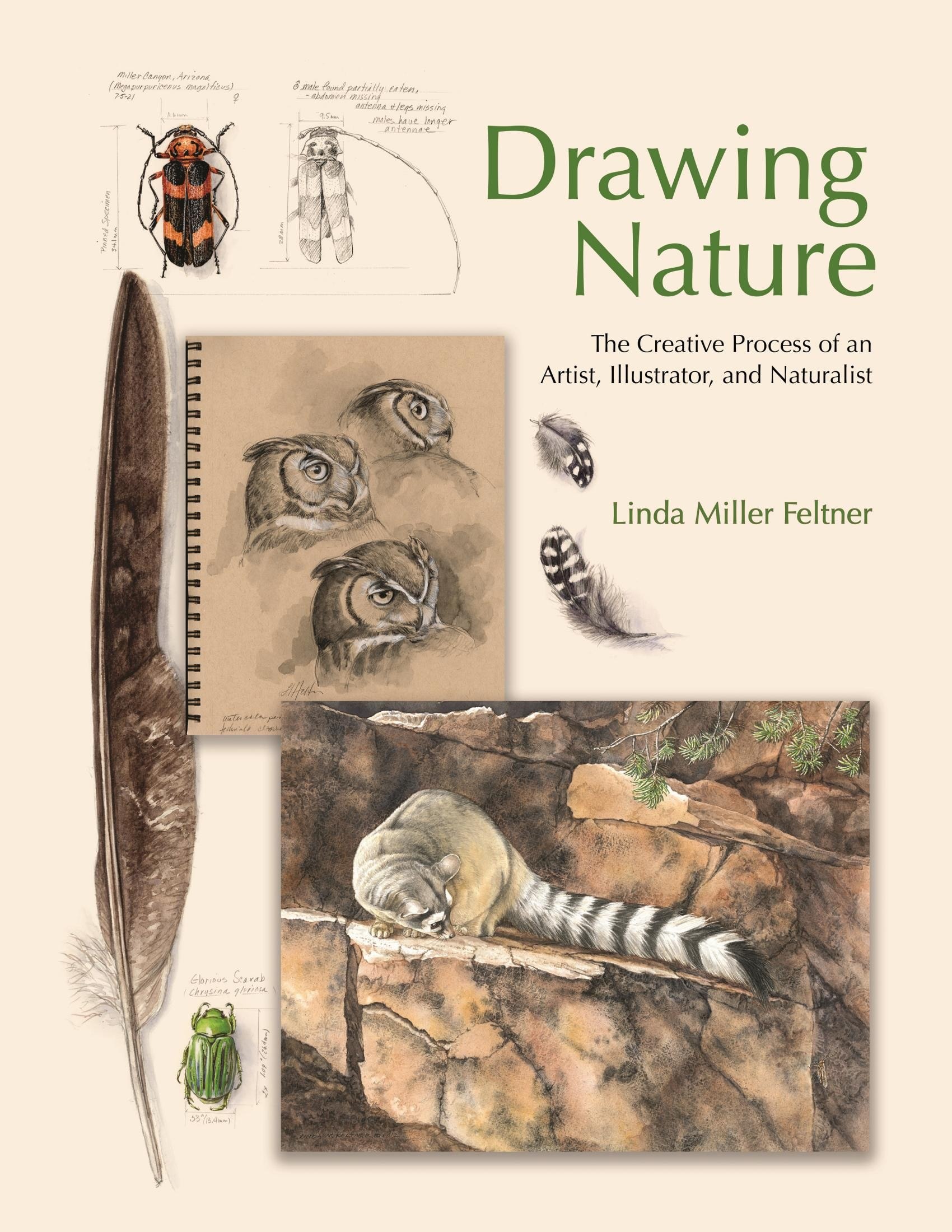 Portada ampliada de Drawing Nature
