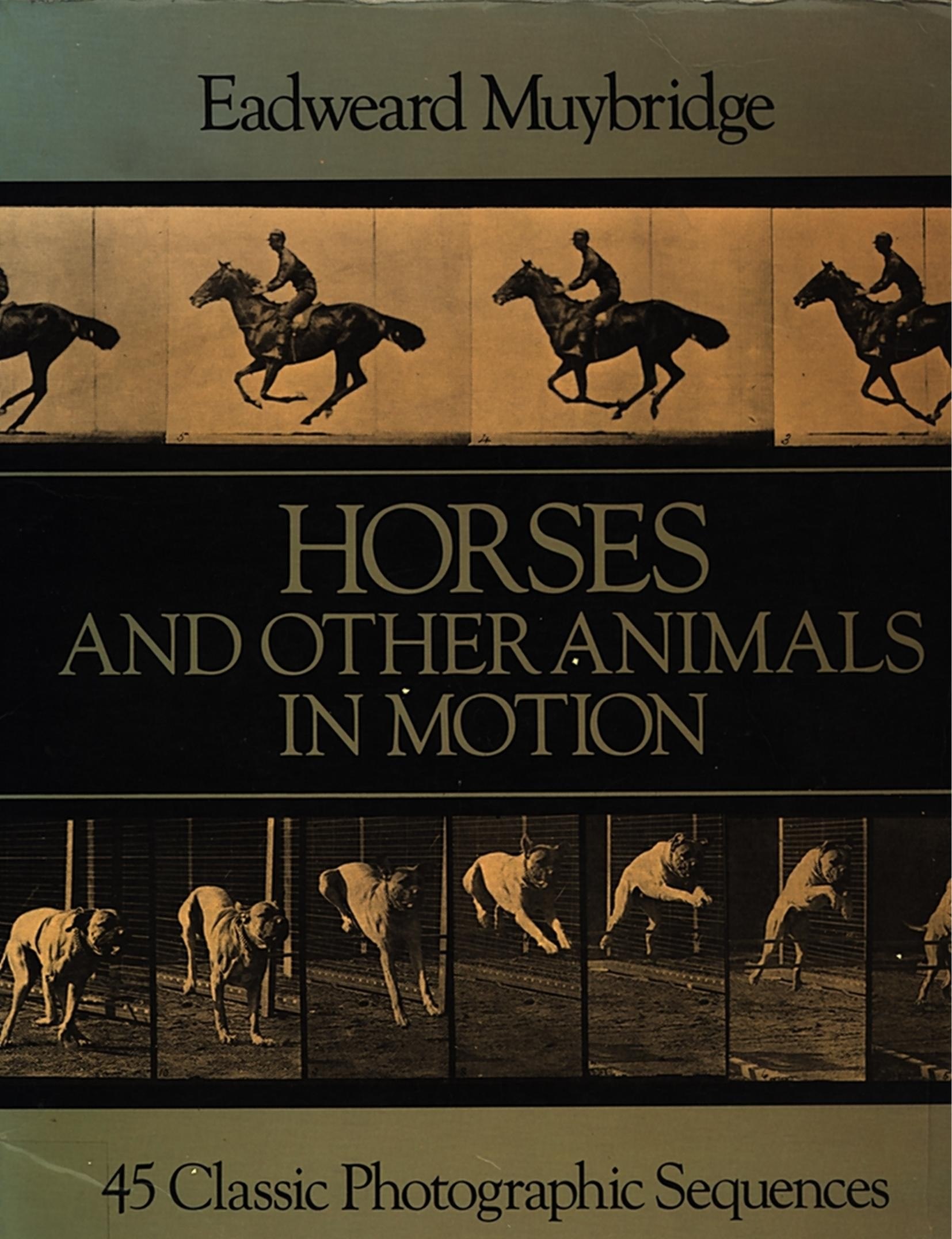 Portada ampliada de HORSES AND OTHER ANIMALS IN MOTION