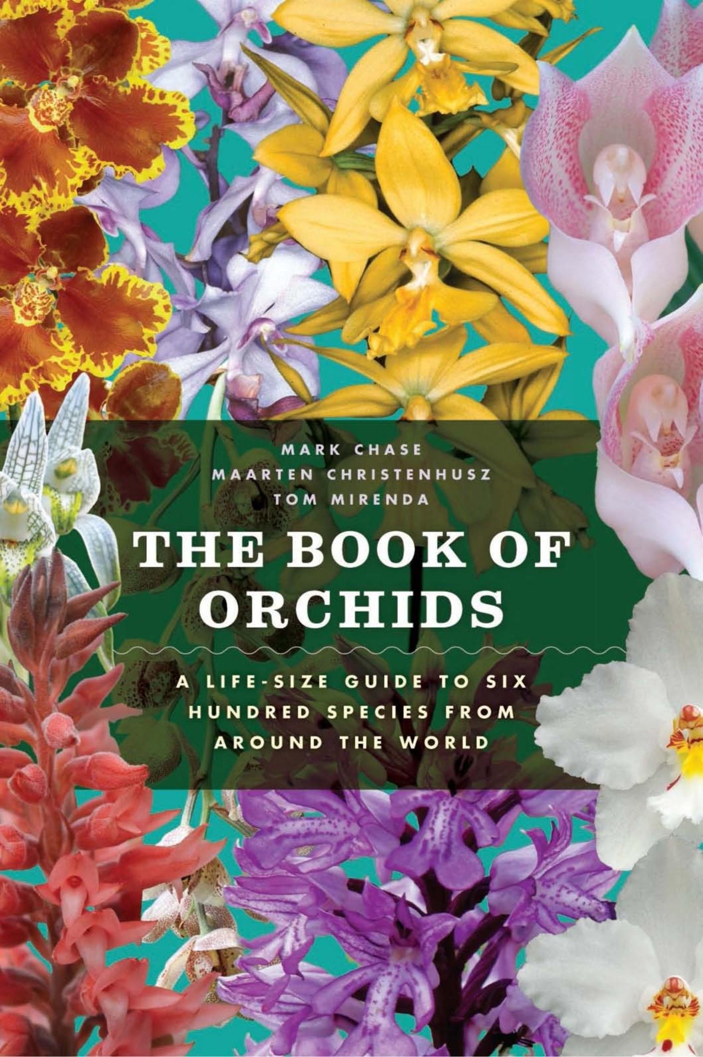 Portada ampliada de THE BOOK OF ORCHIDS