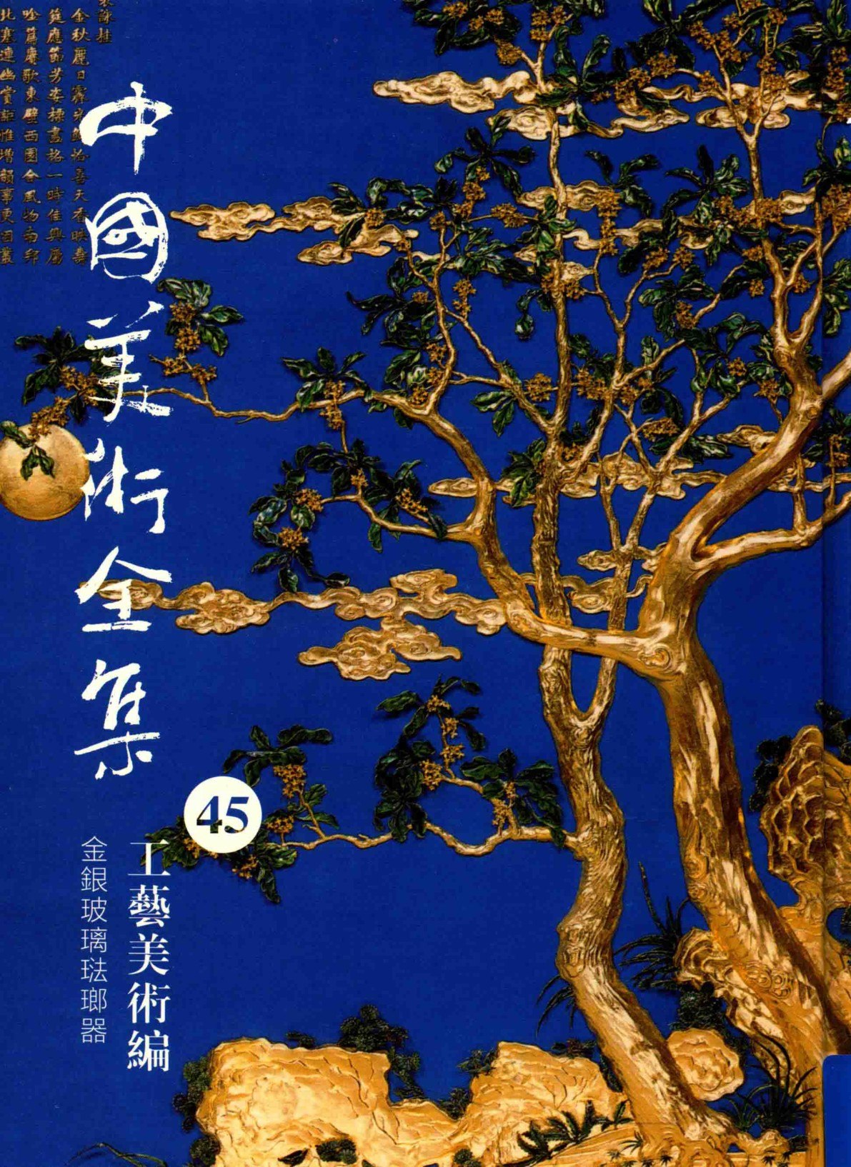 Portada ampliada de 中國美術全集