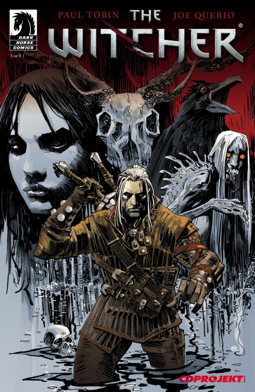 Portada ampliada de THE WITCHER