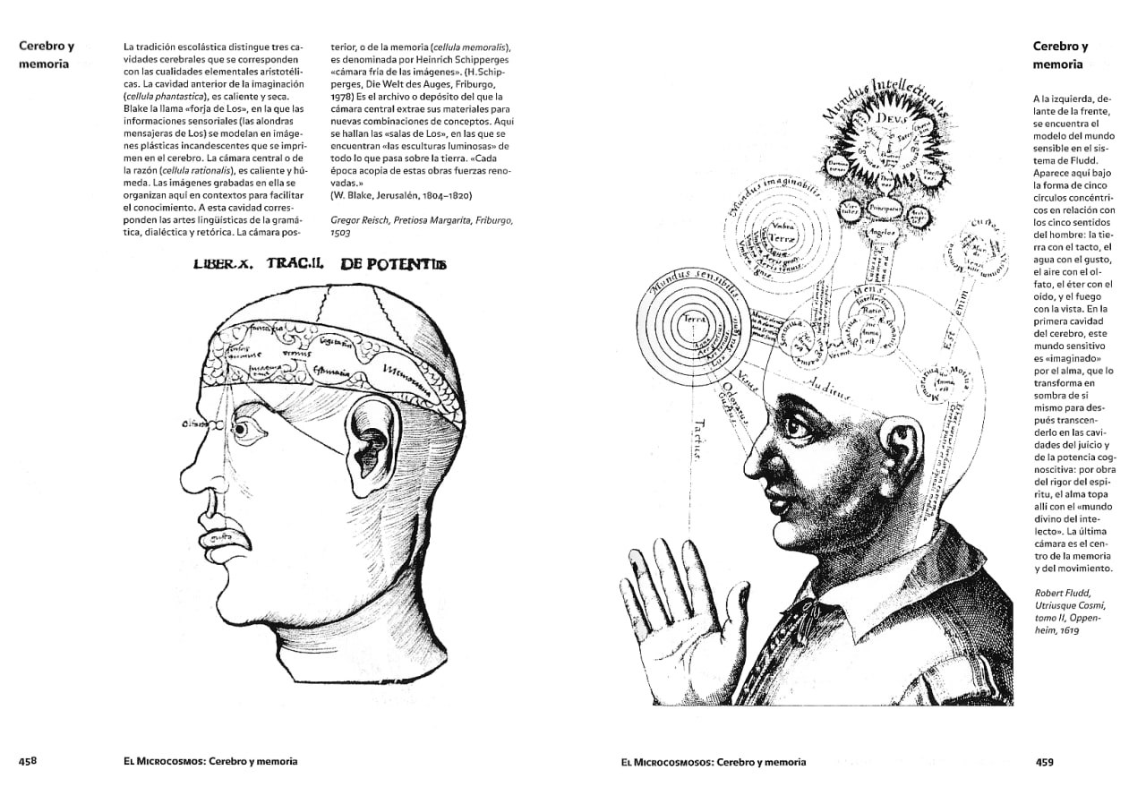 Portada ampliada de Cerebro y memoria