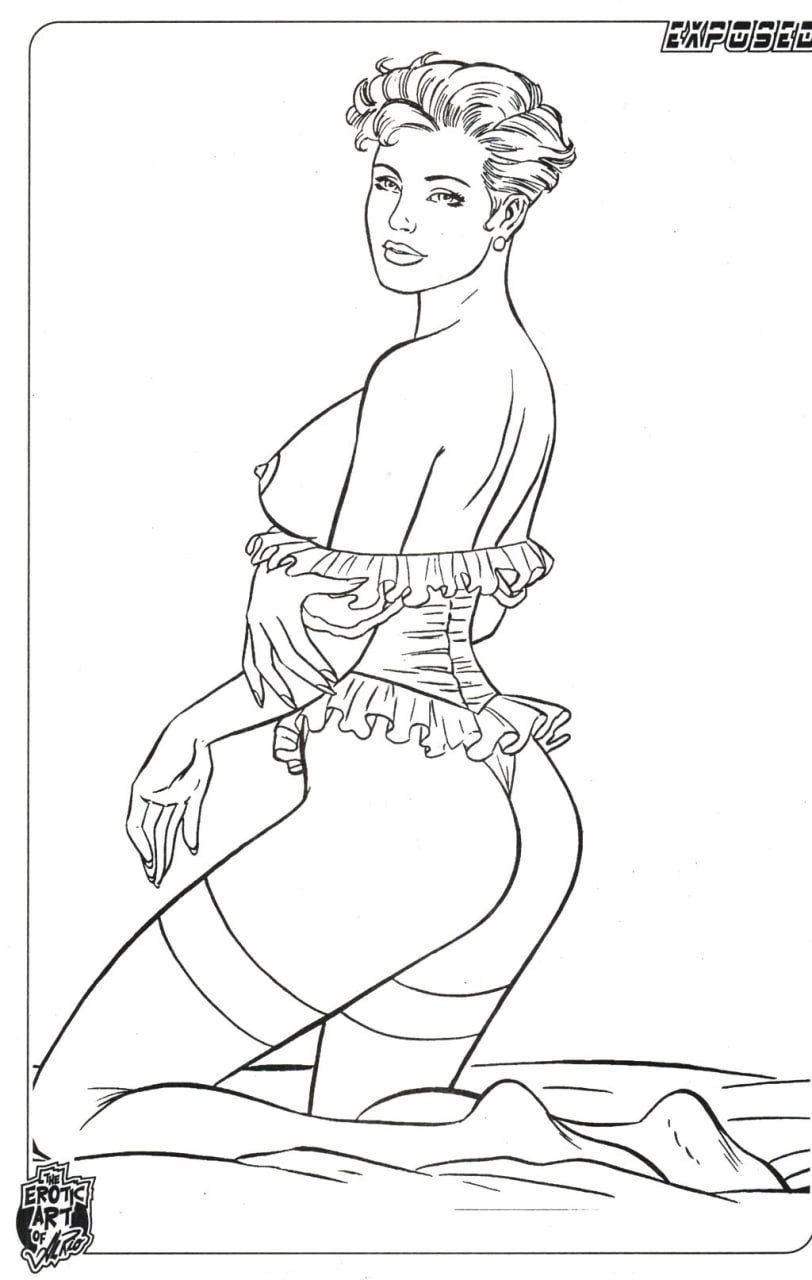Portada ampliada de Aspen SKETCHBOOK