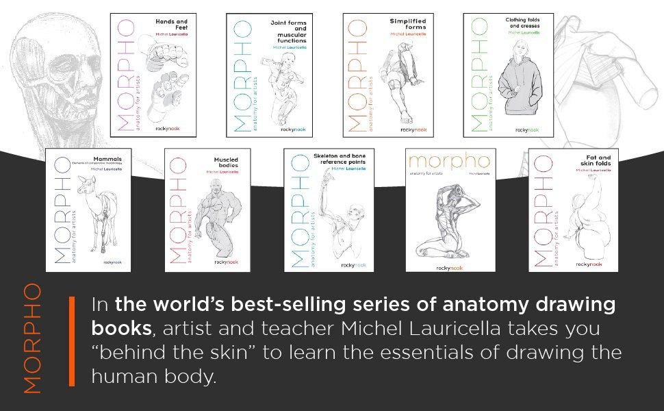 Portada ampliada de a series of anatomy drawing